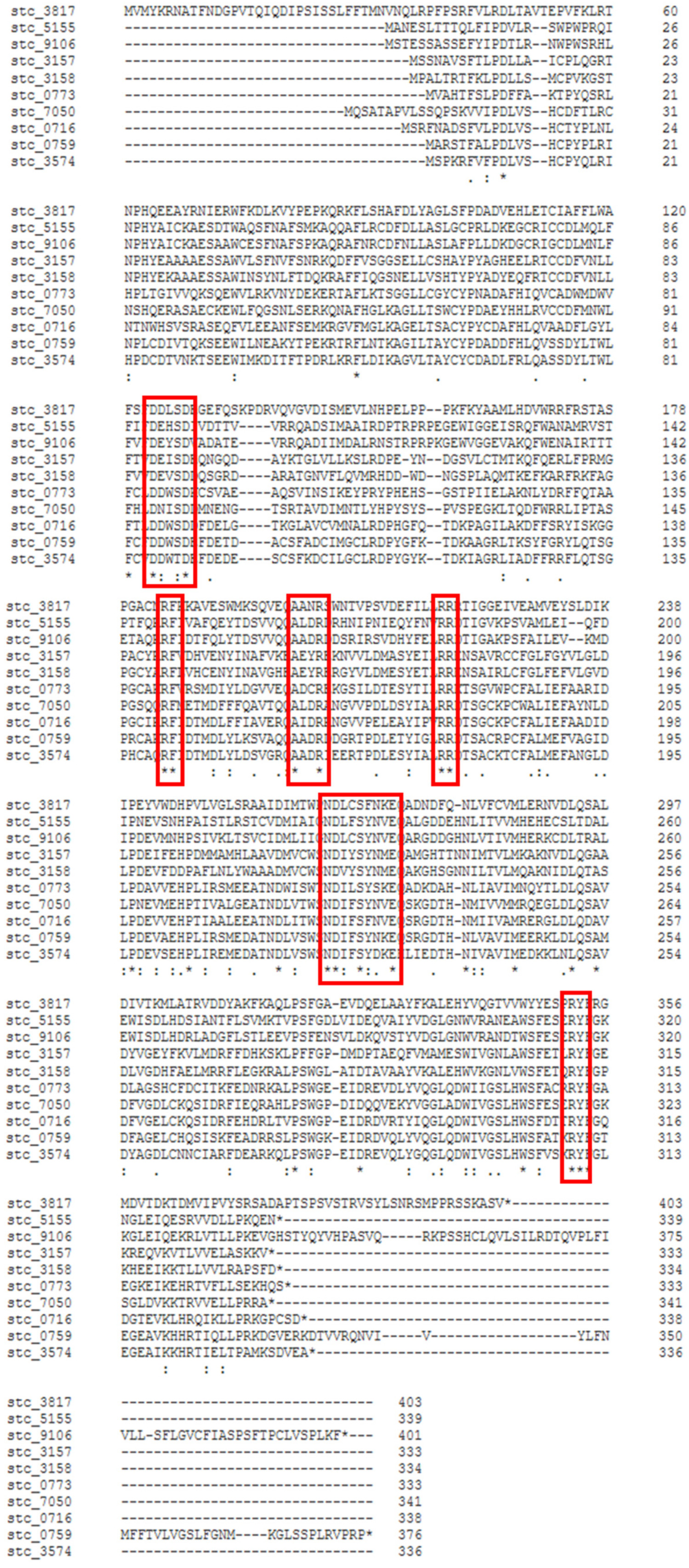 Catalysts 11 01361 g001