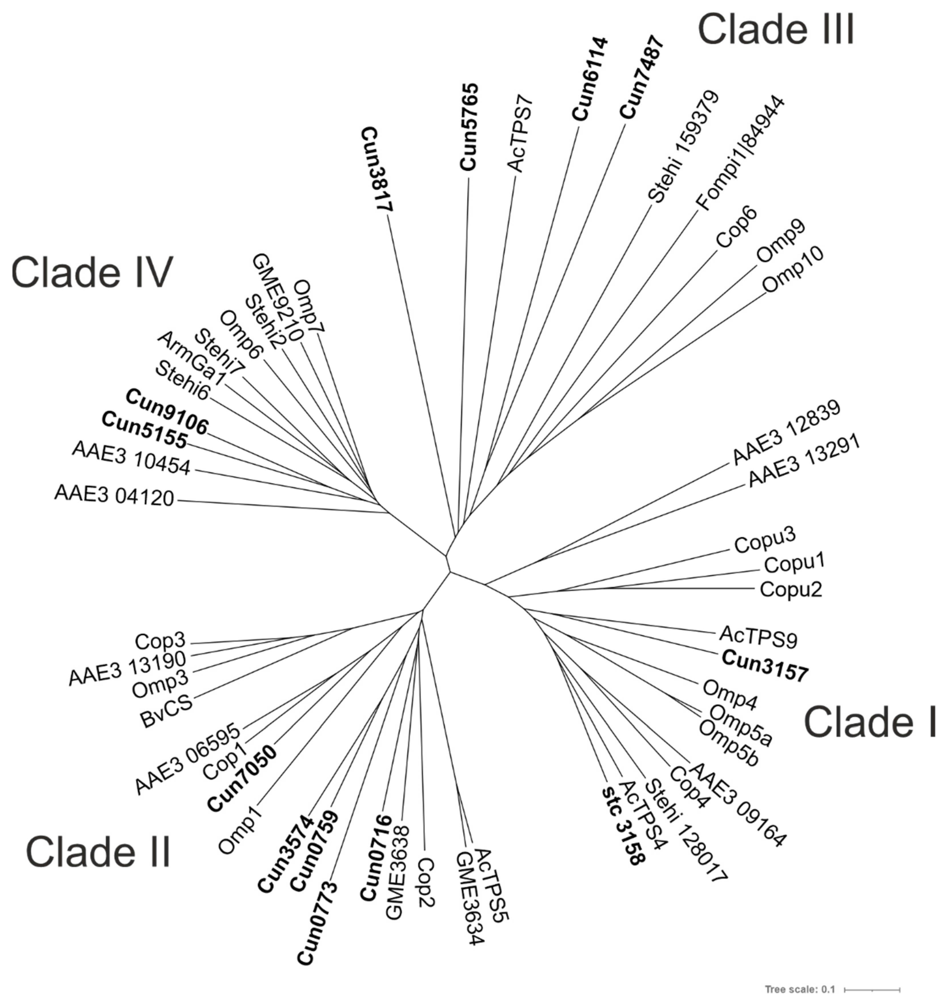 Catalysts 11 01361 g002
