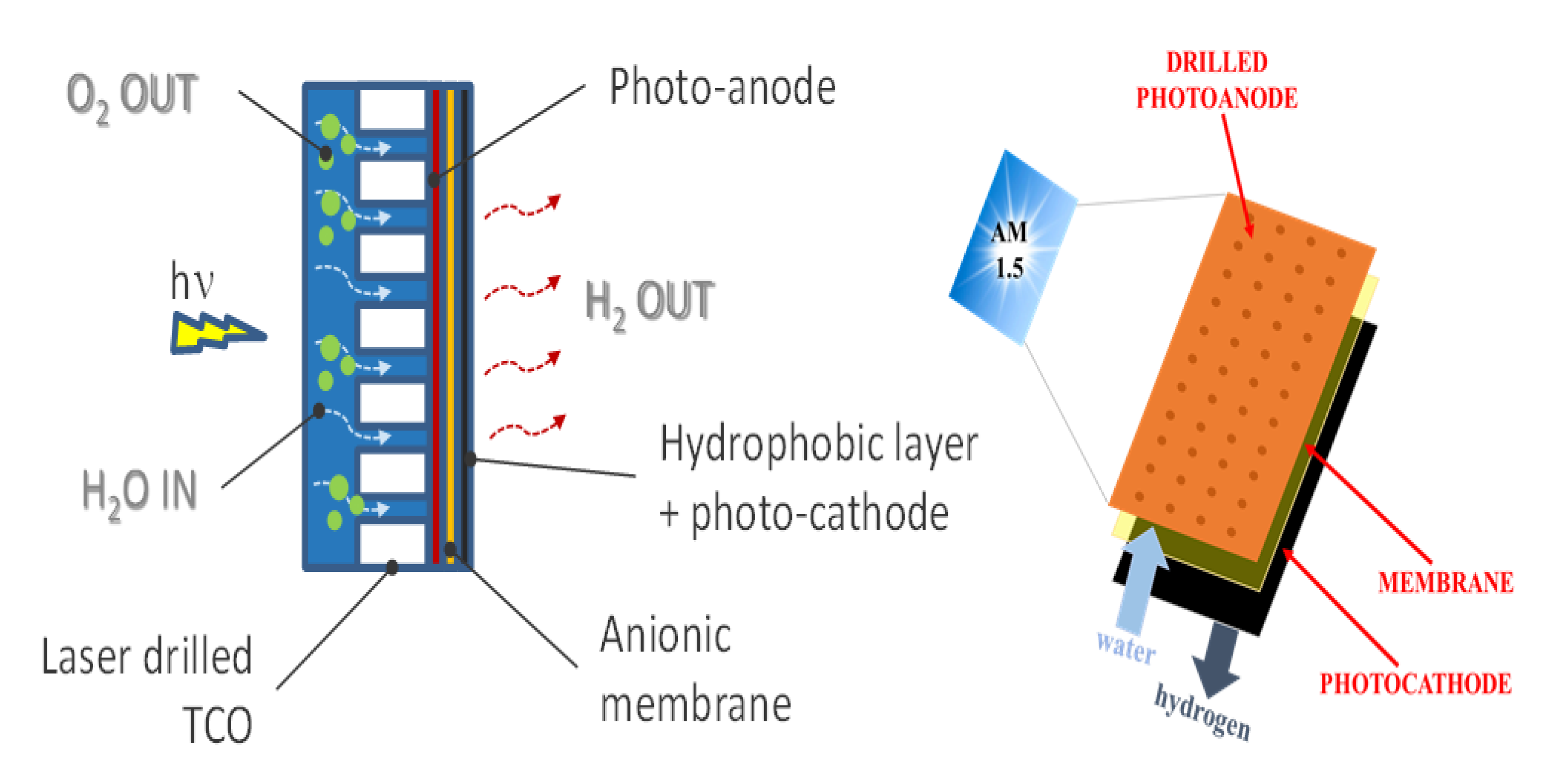 Catalysts 11 01363 g001 550