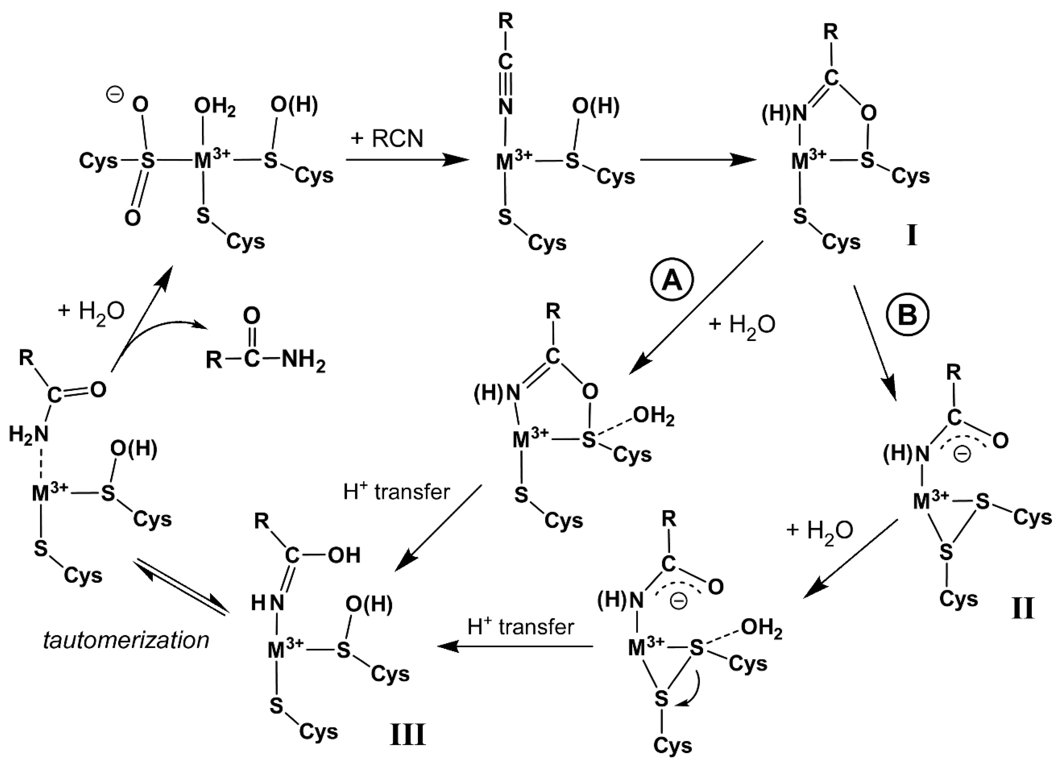 Catalysts 11 01381 g002