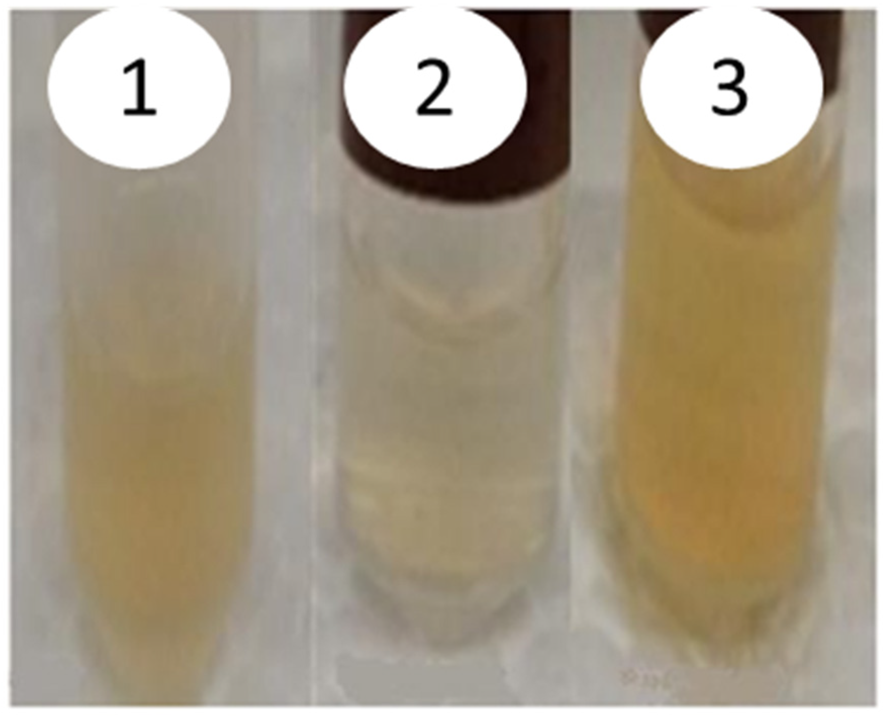 Catalysts 11 01381 g003