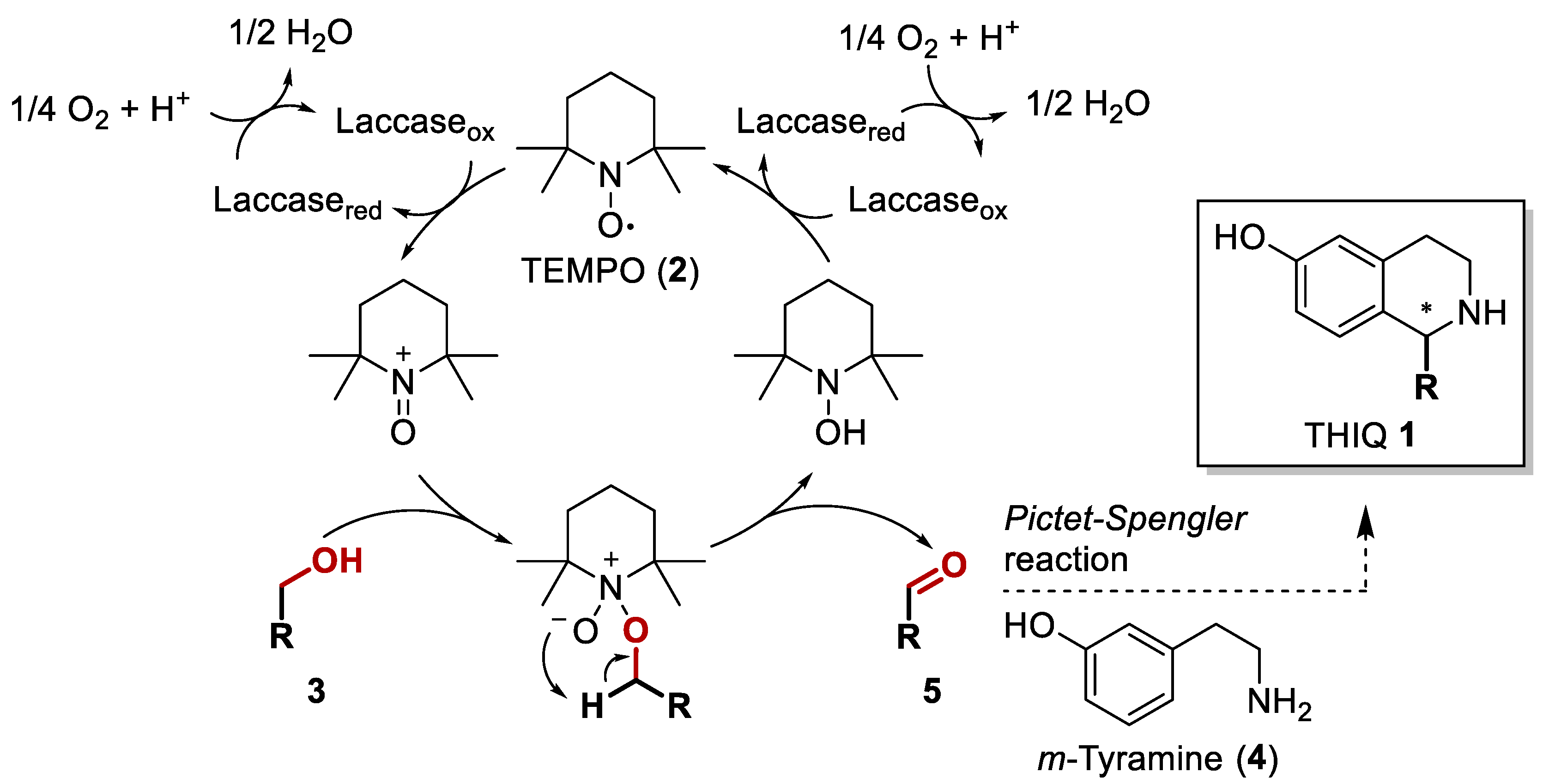 Catalysts 11 01389 sch002 Catalysts 11 01389 sch002