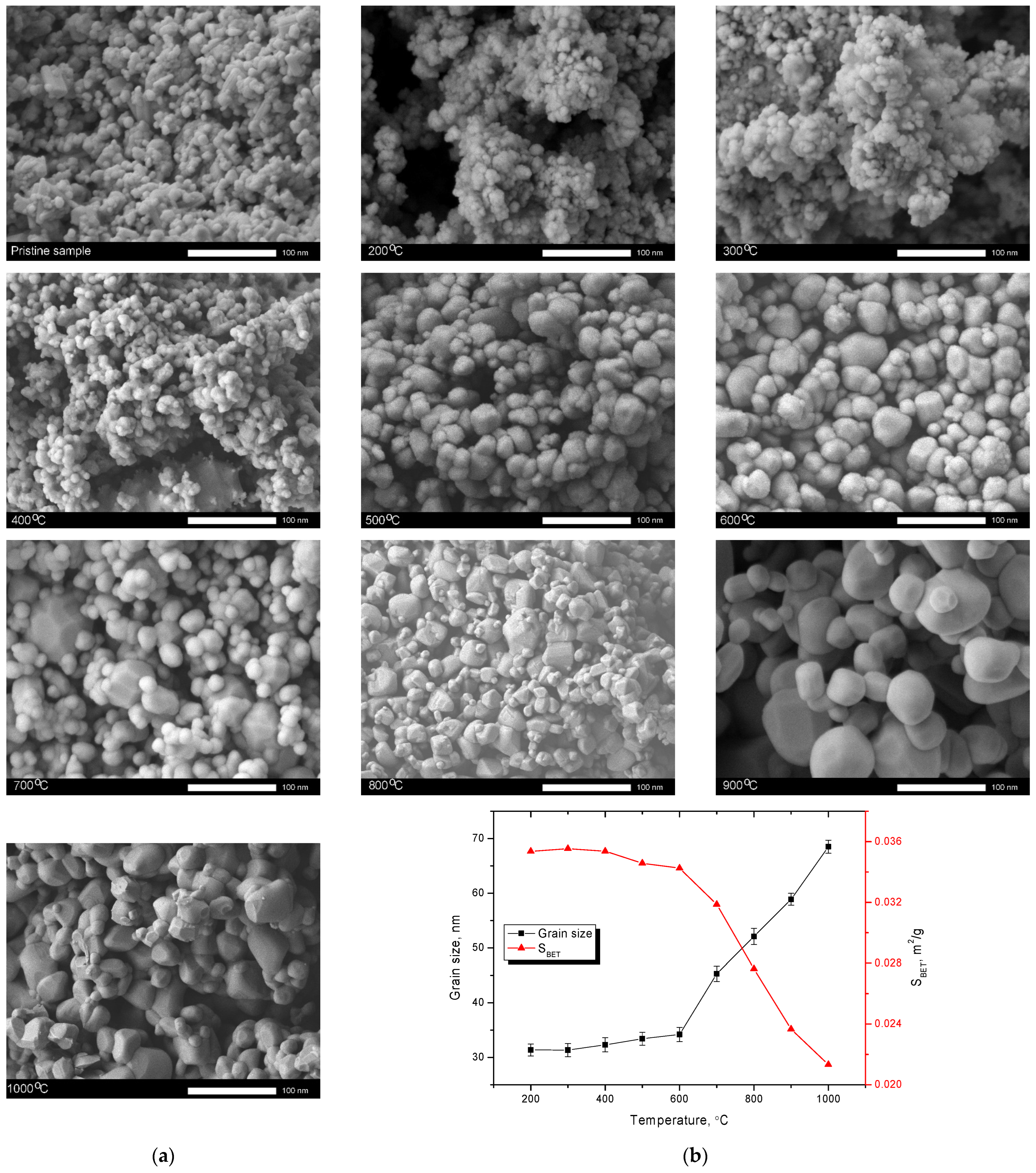 Catalysts 11 01393 g001 550