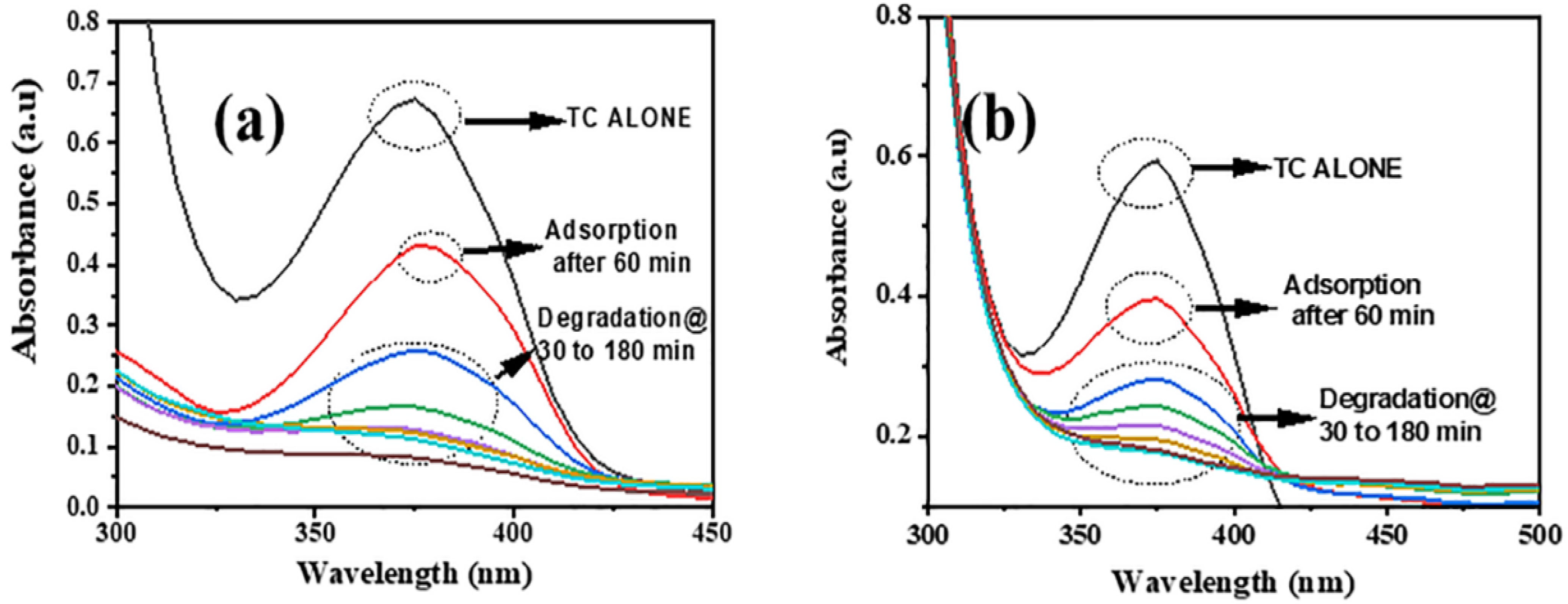 Catalysts 11 01396 g008 550