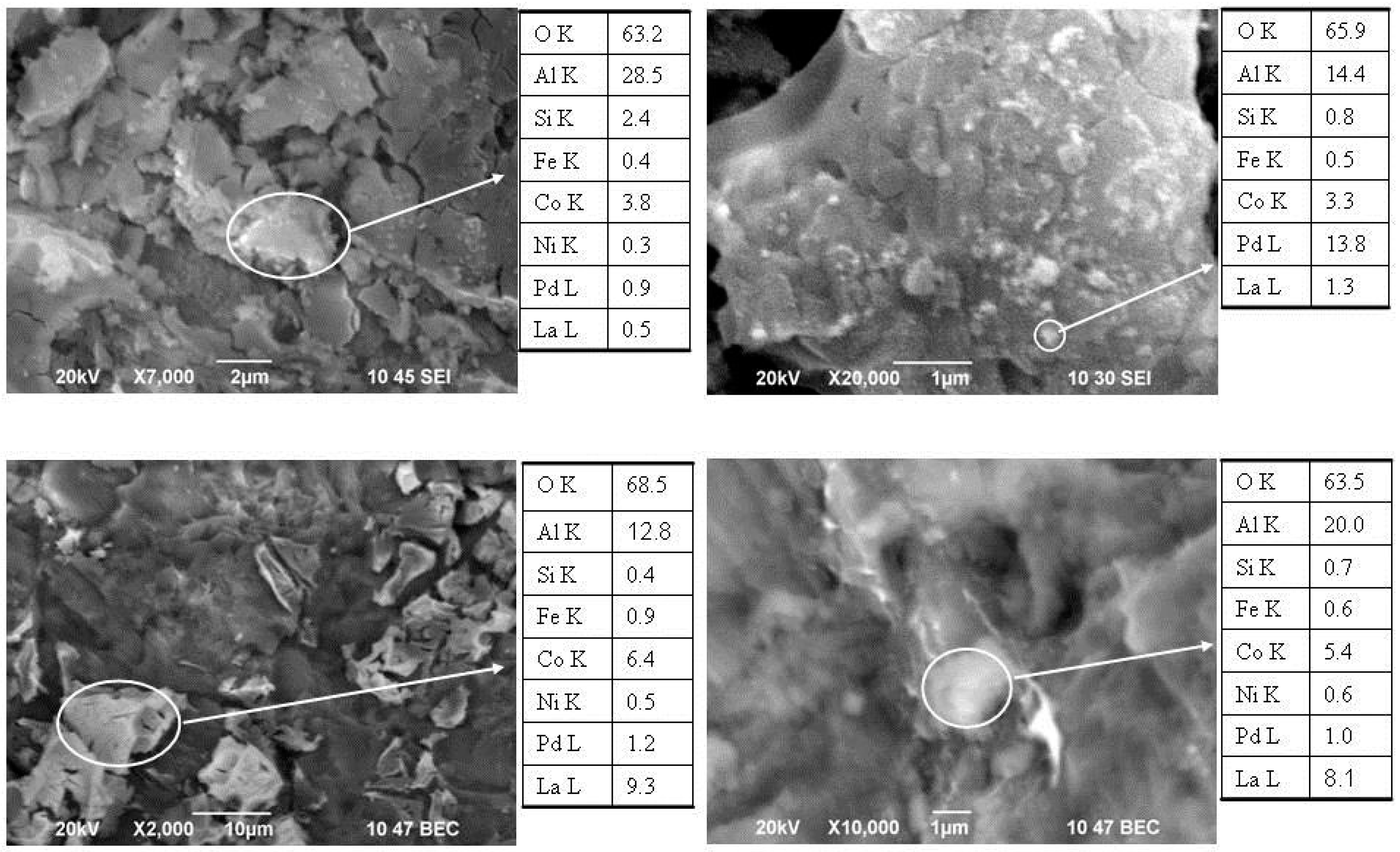 Catalysts 11 01399 g001