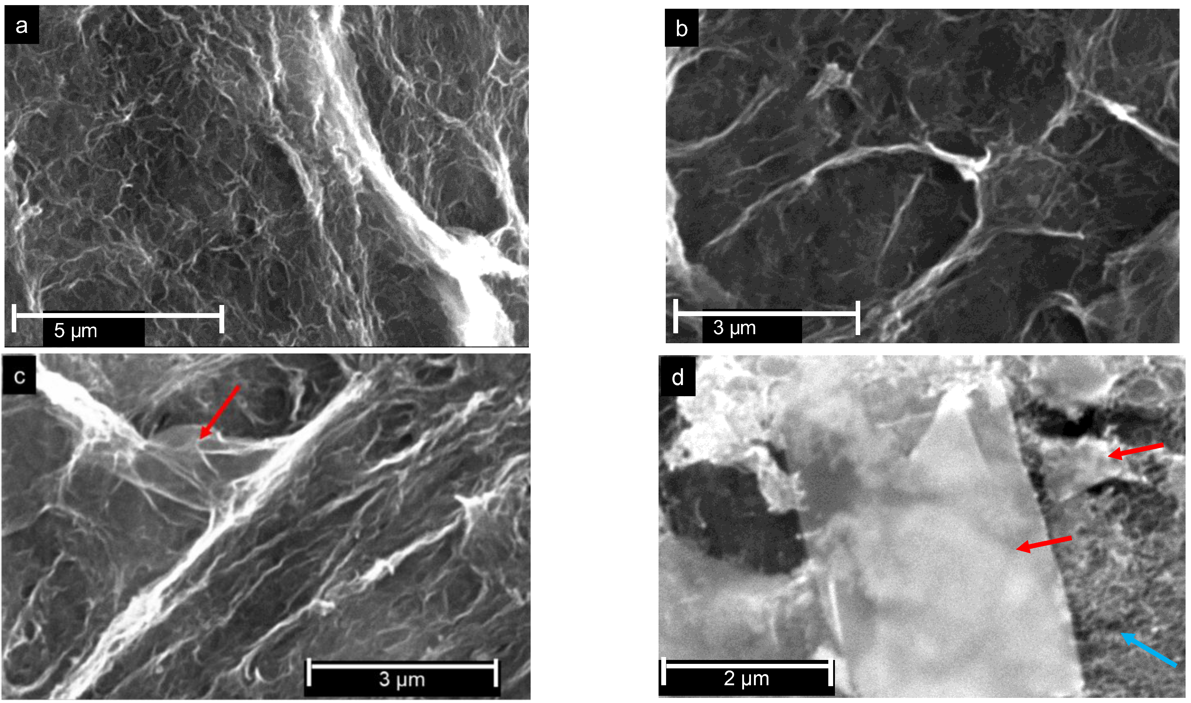 Catalysts 11 01404 g003