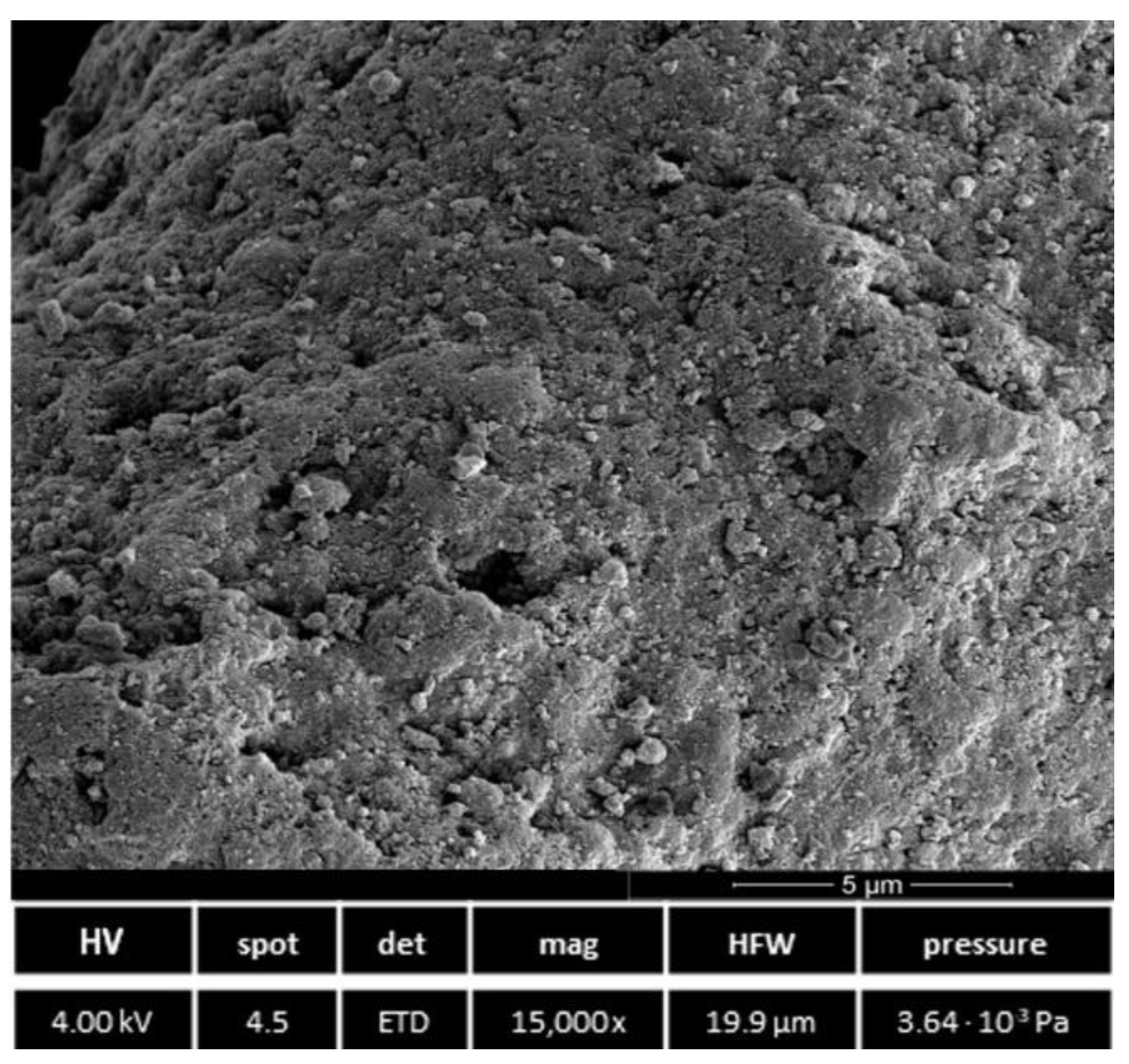 Catalysts 11 01405 g005