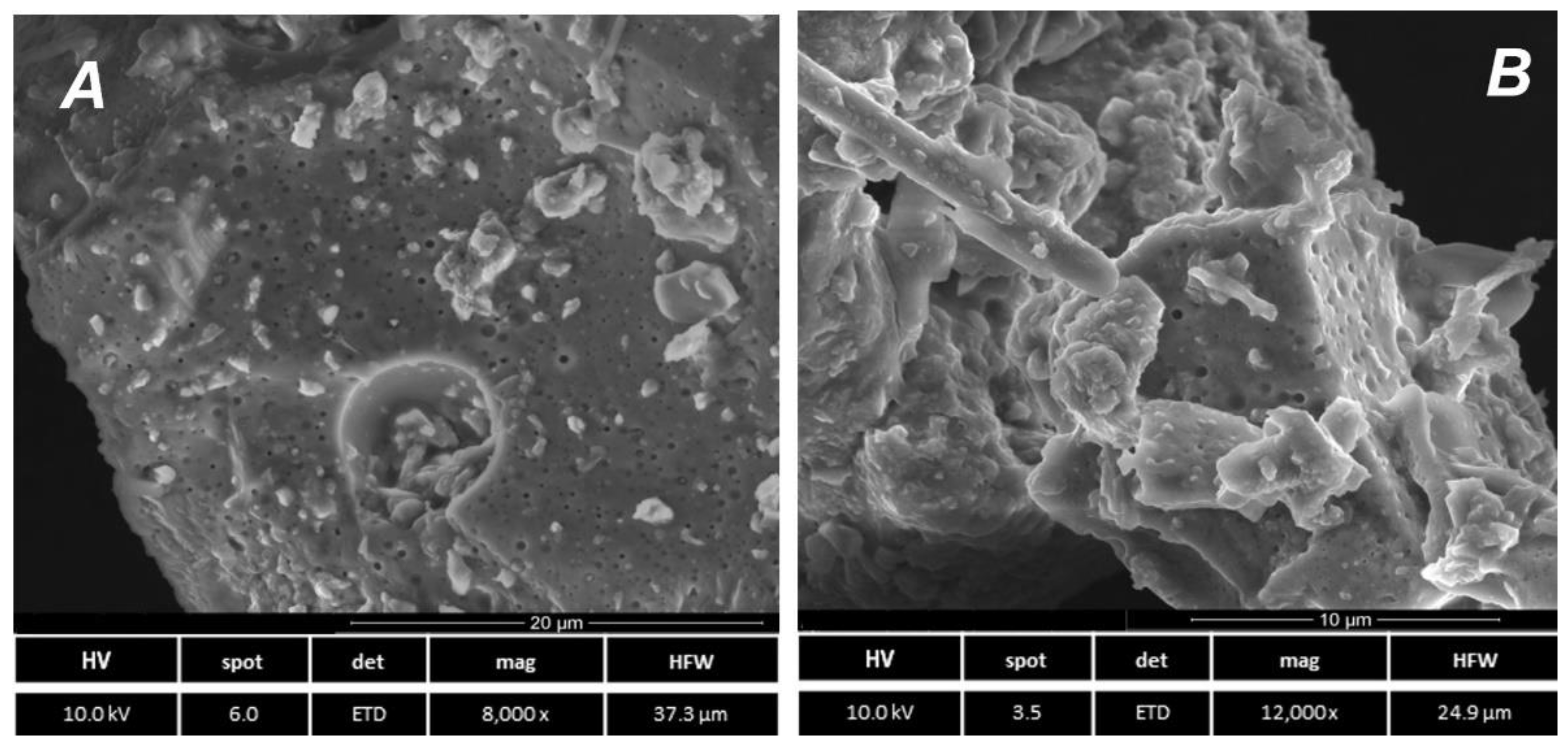Catalysts 11 01405 g006