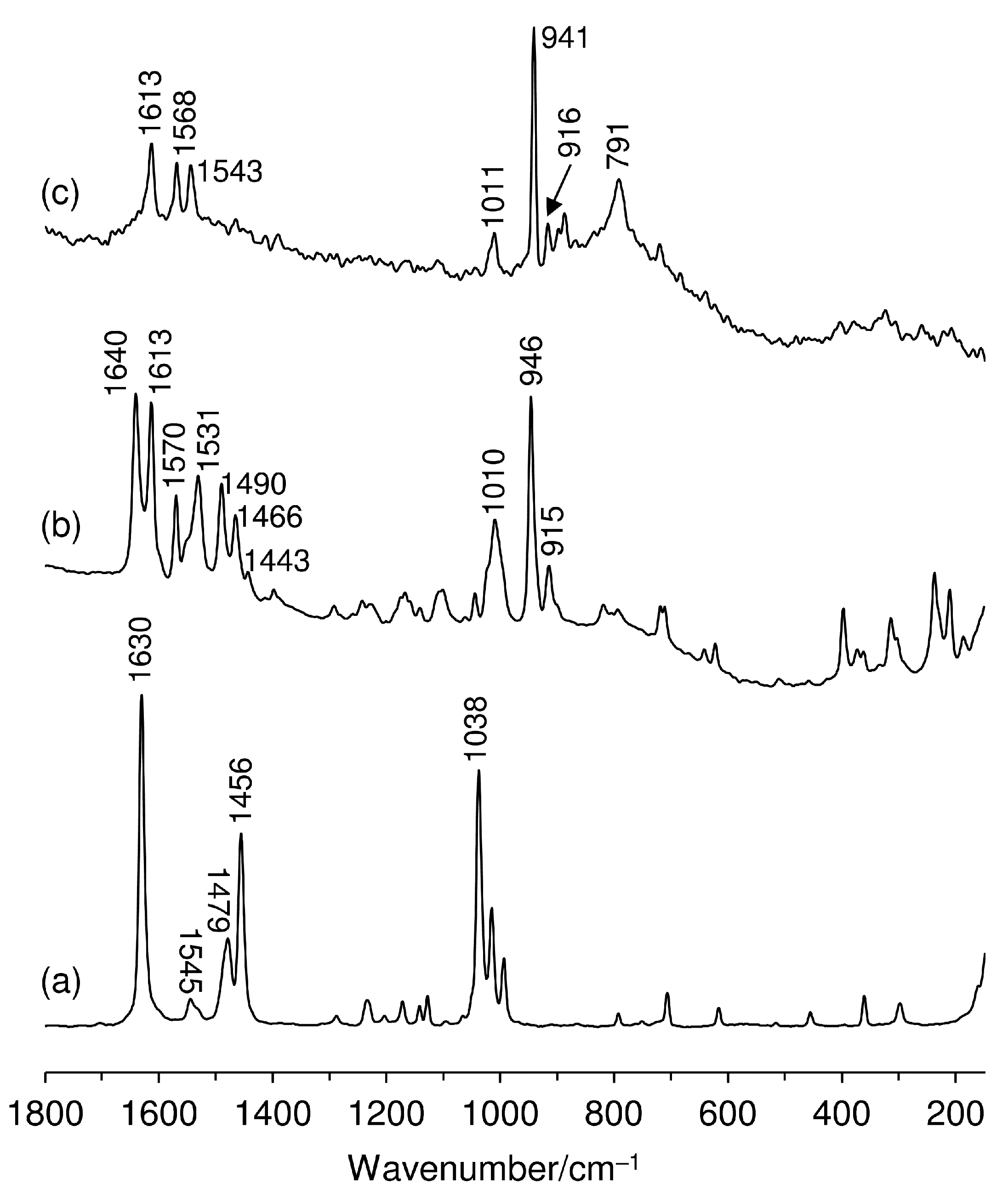 Catalysts 11 01407 g005 Catalysts 11 01407 g005