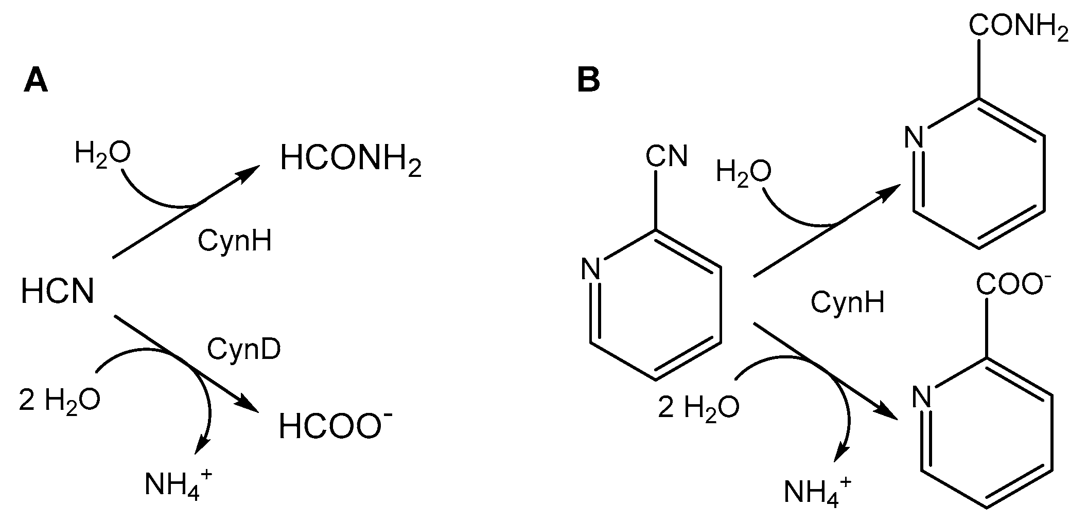 Potassium cyanide 10% (w/v) in aqueous solution