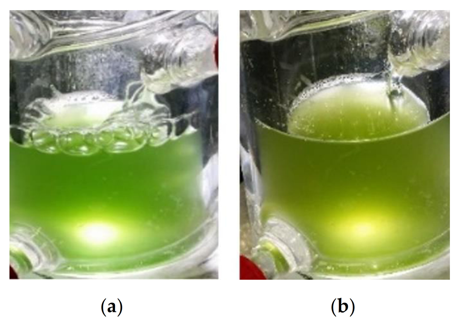 Catalysts 11 01415 g004