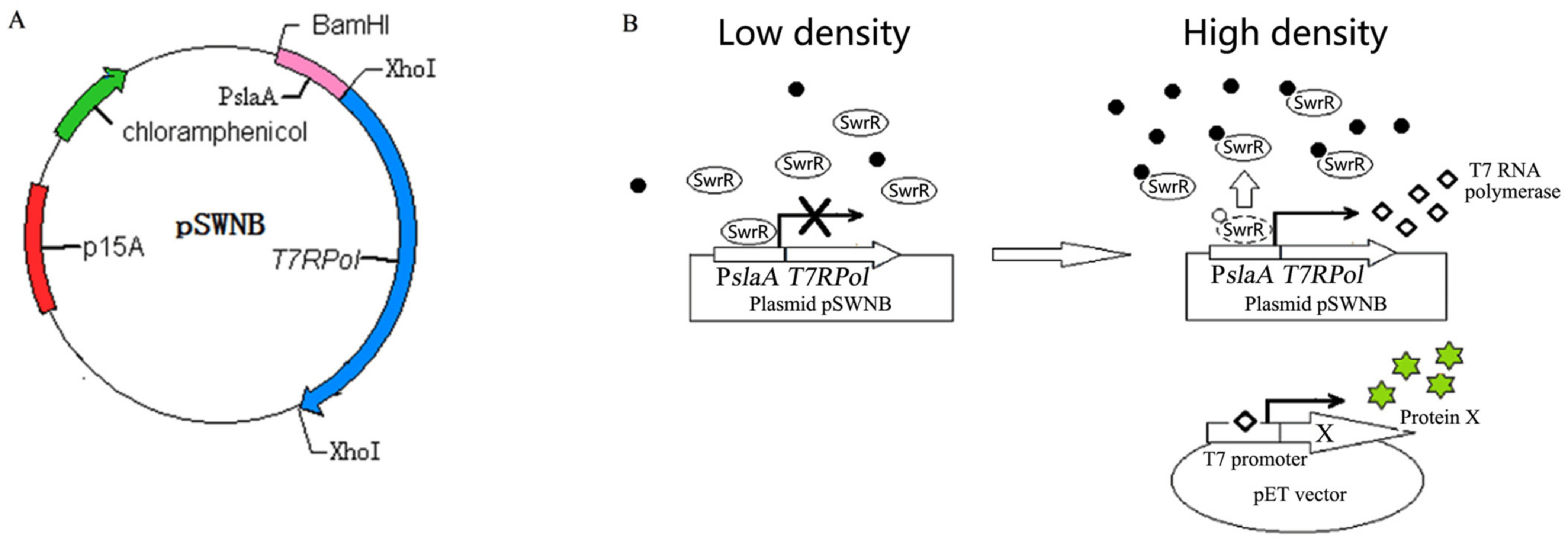 Catalysts 11 01422 g002 550