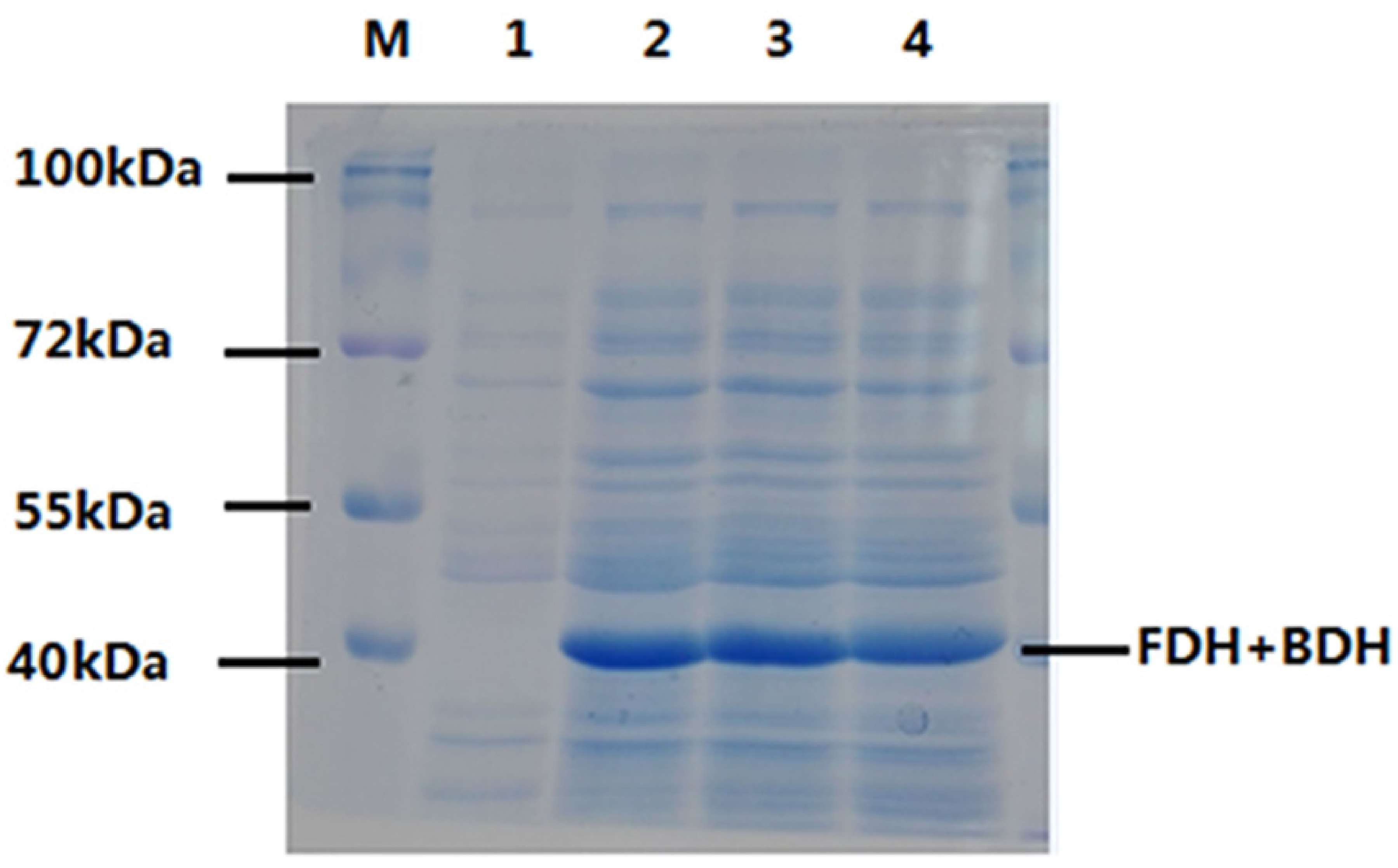 Catalysts 11 01422 g004 550