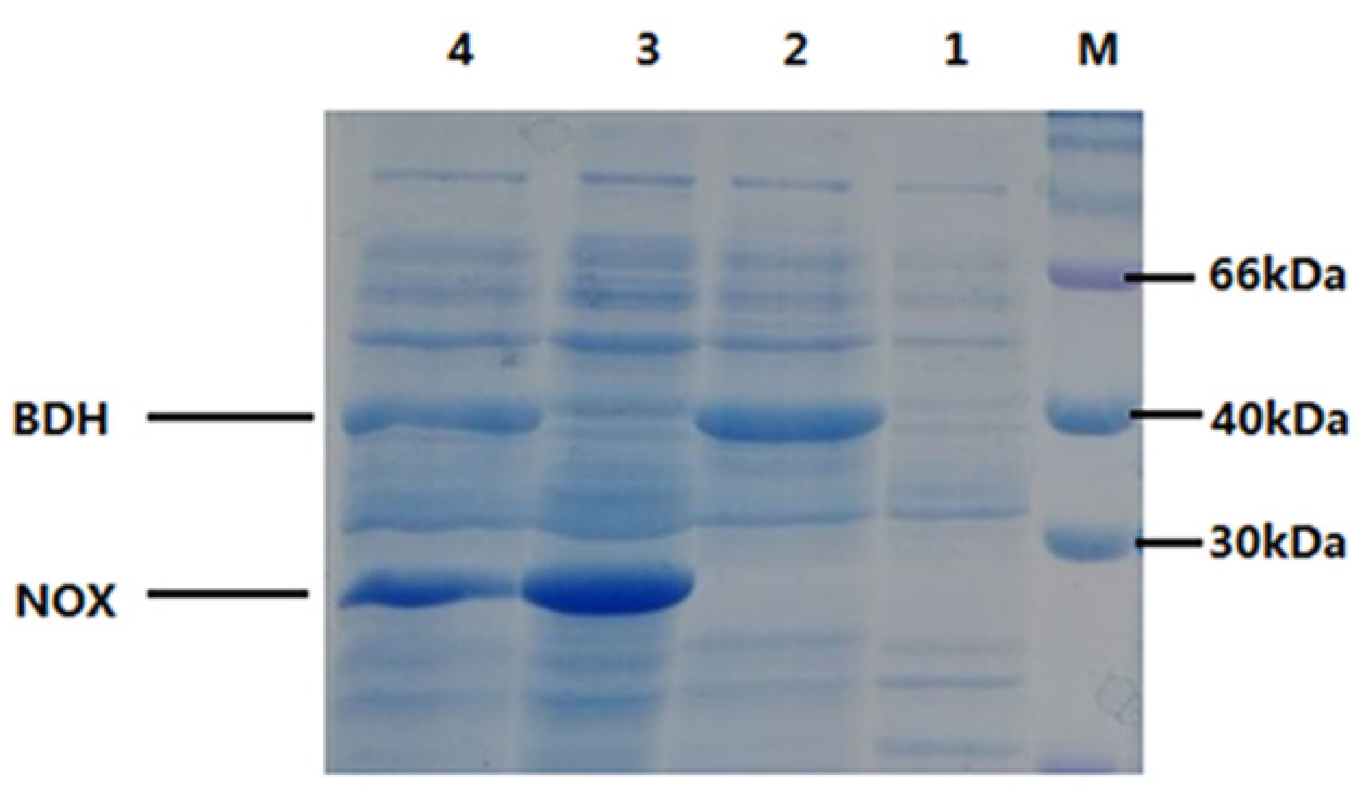Catalysts 11 01422 g007 550
