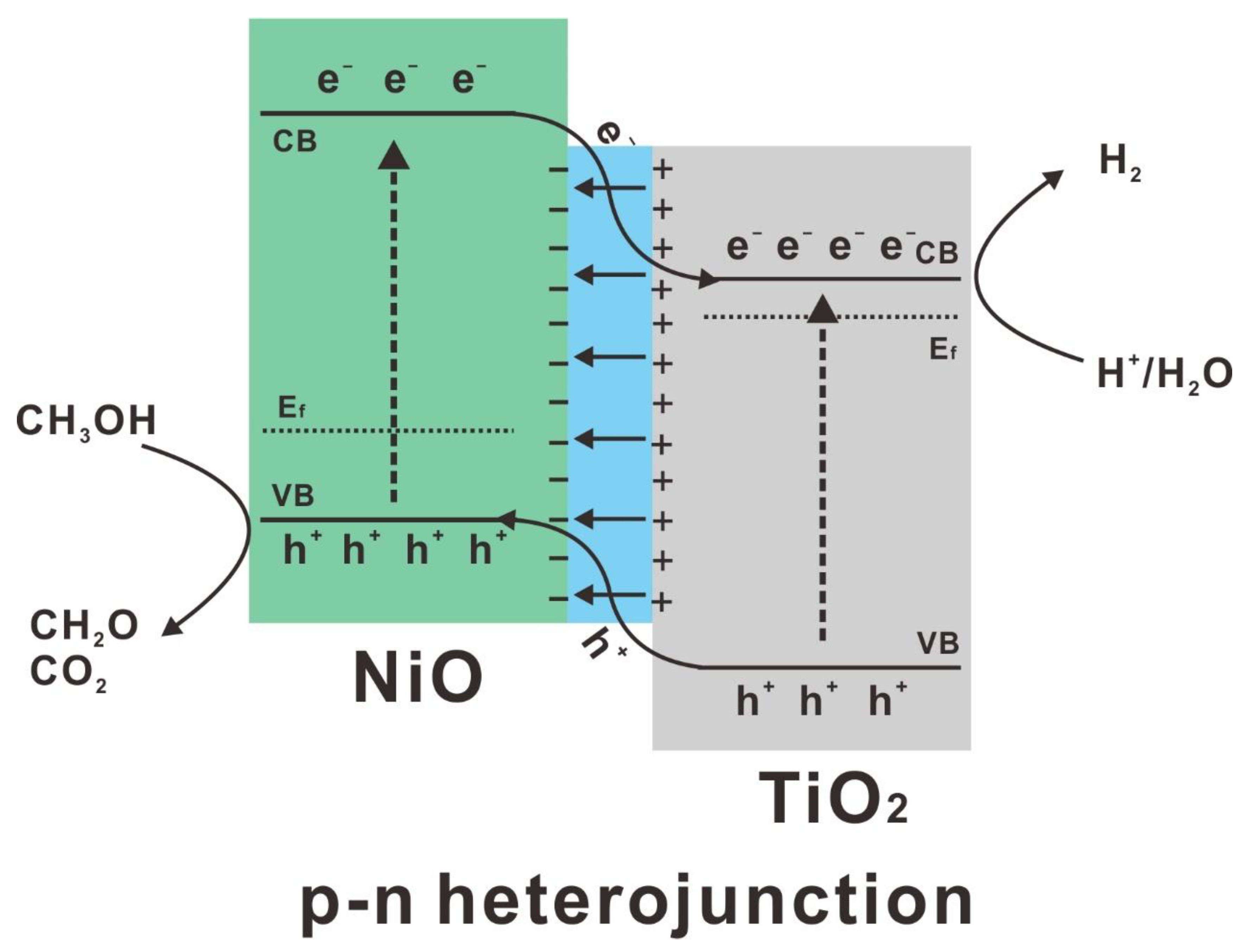 Catalysts 11 01427 g007 550