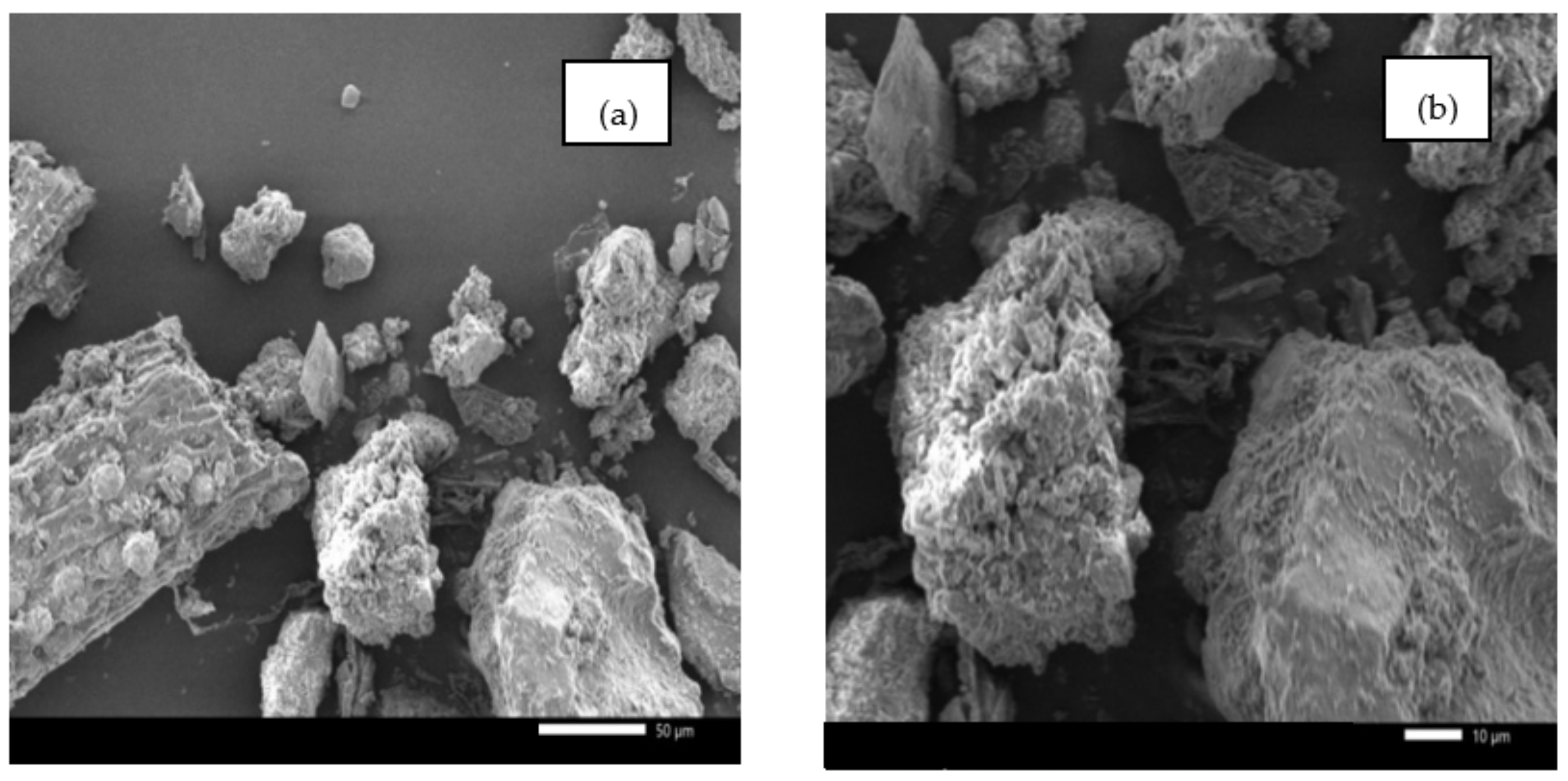 Catalysts 11 01434 g001