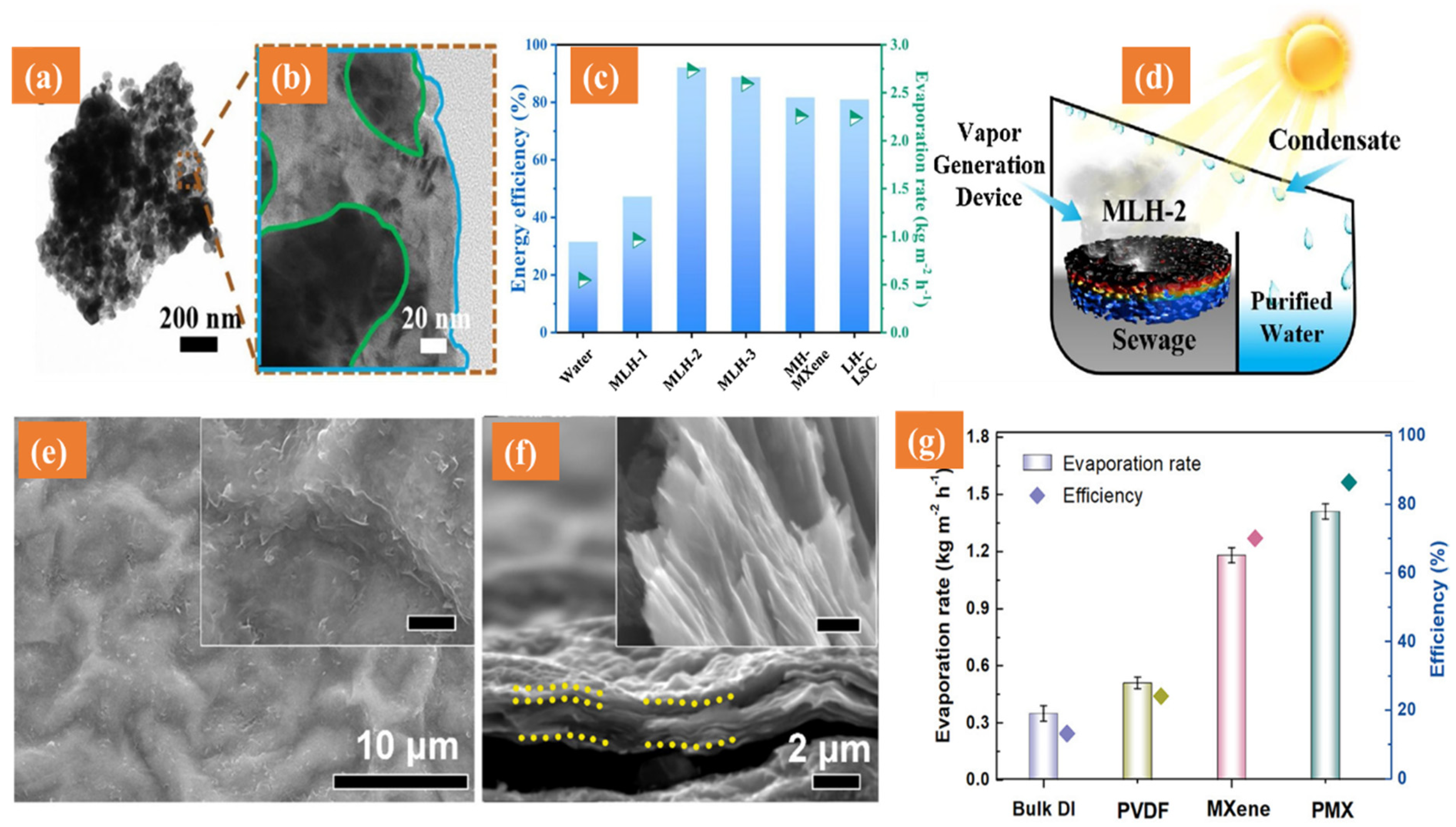 Catalysts 11 01435 g005