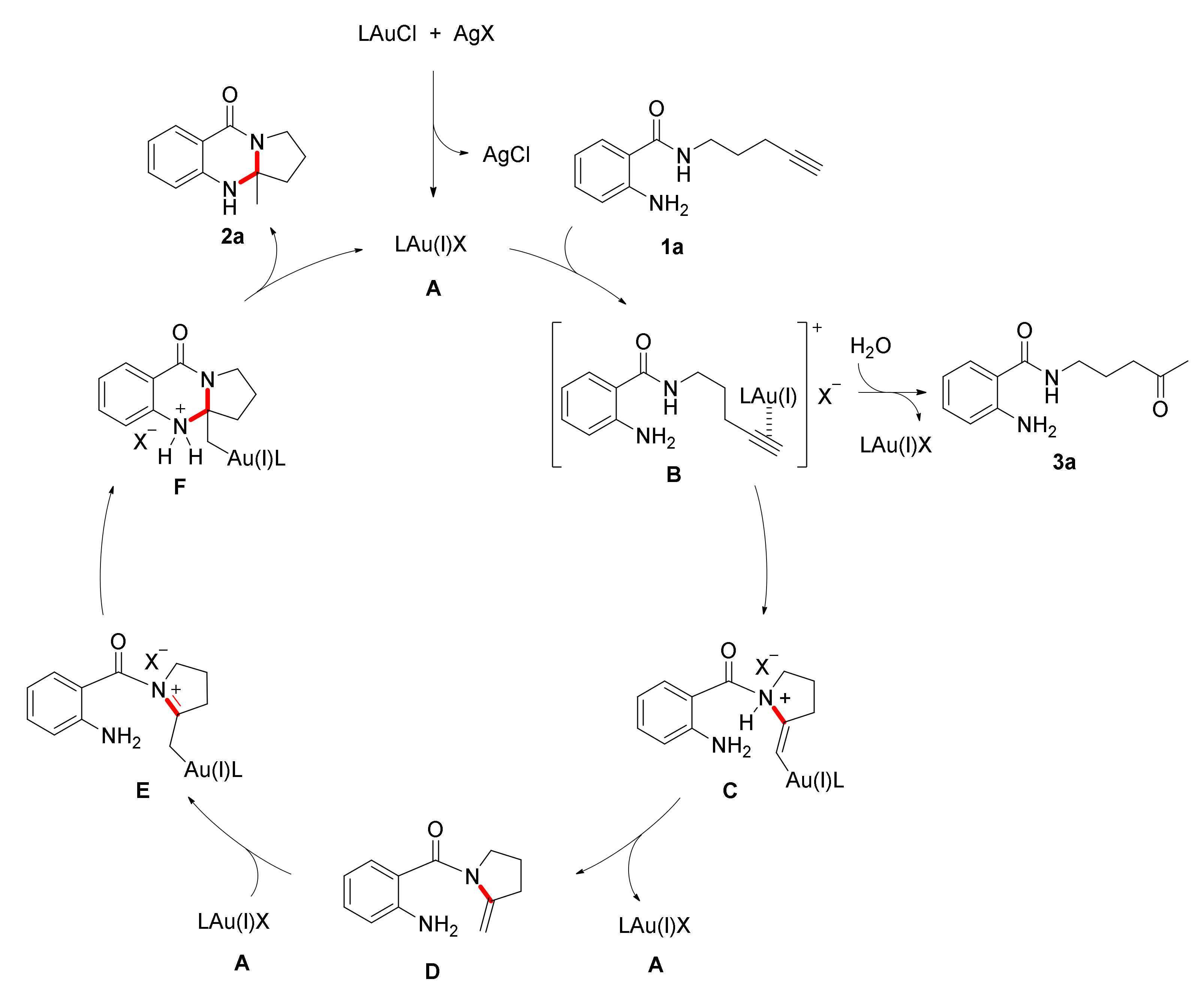 Catalysts 11 01436 sch003