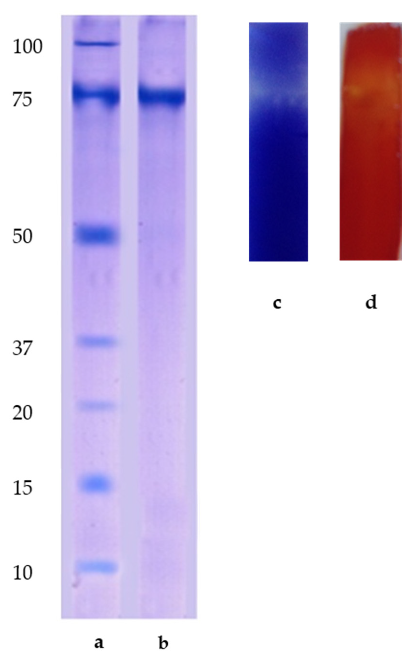 Catalysts 11 01438 g004 Catalysts 11 01438 g004
