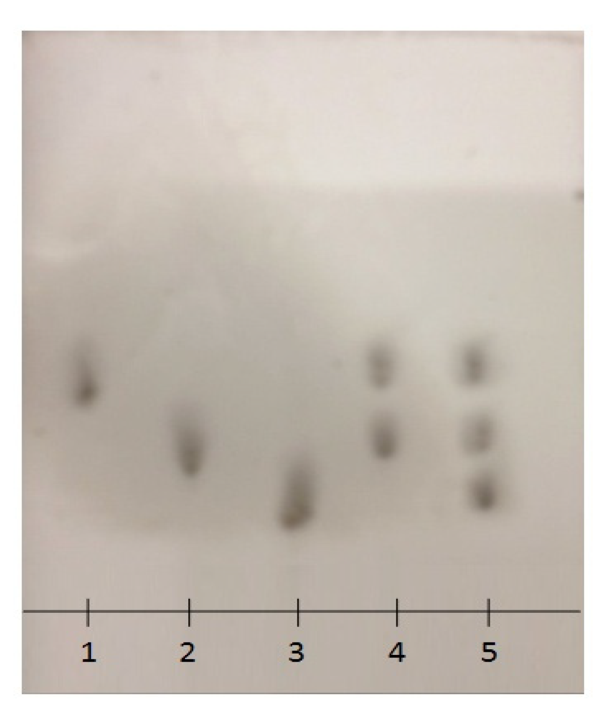 Catalysts 11 01438 g005 Catalysts 11 01438 g005