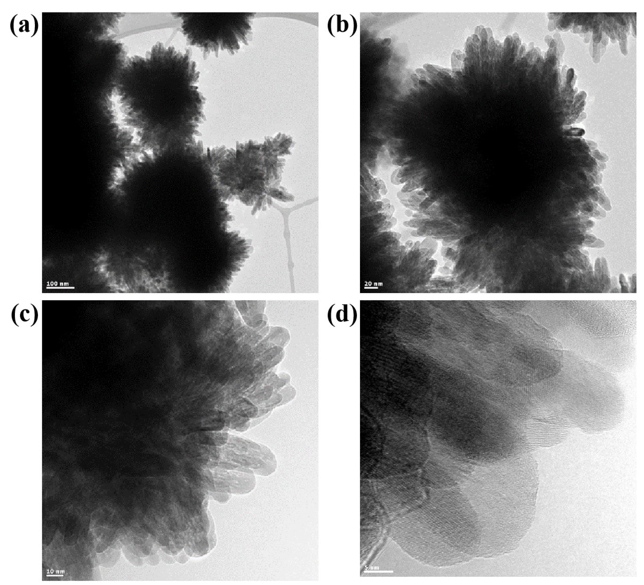 Catalysts 11 01443 g005