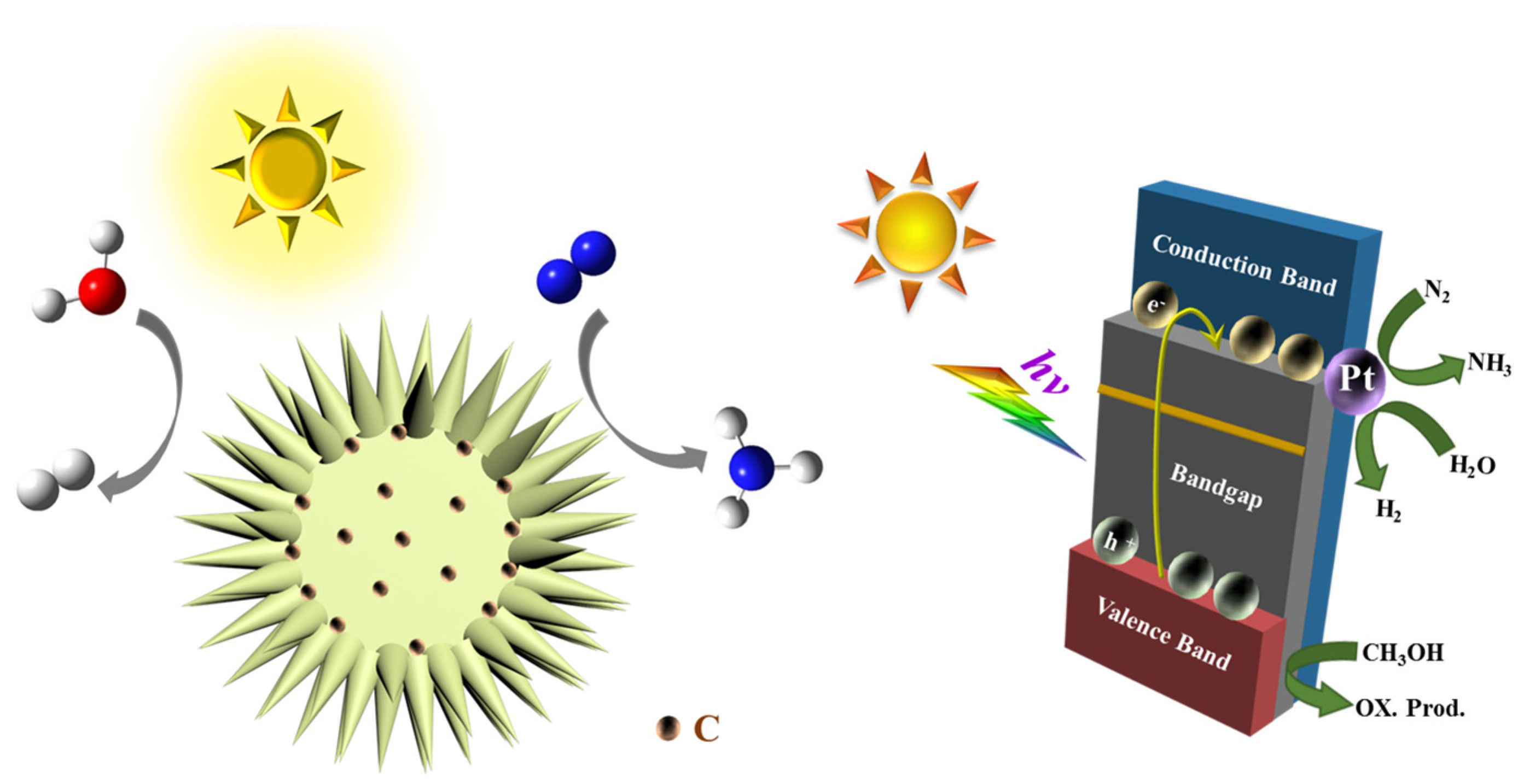 Catalysts 11 01443 g011