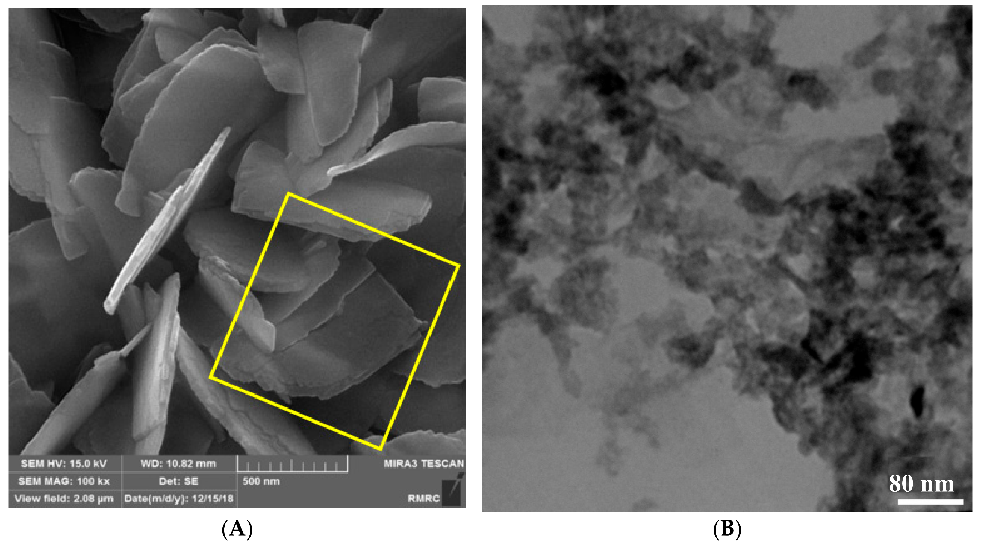 Catalysts 11 01445 g001a