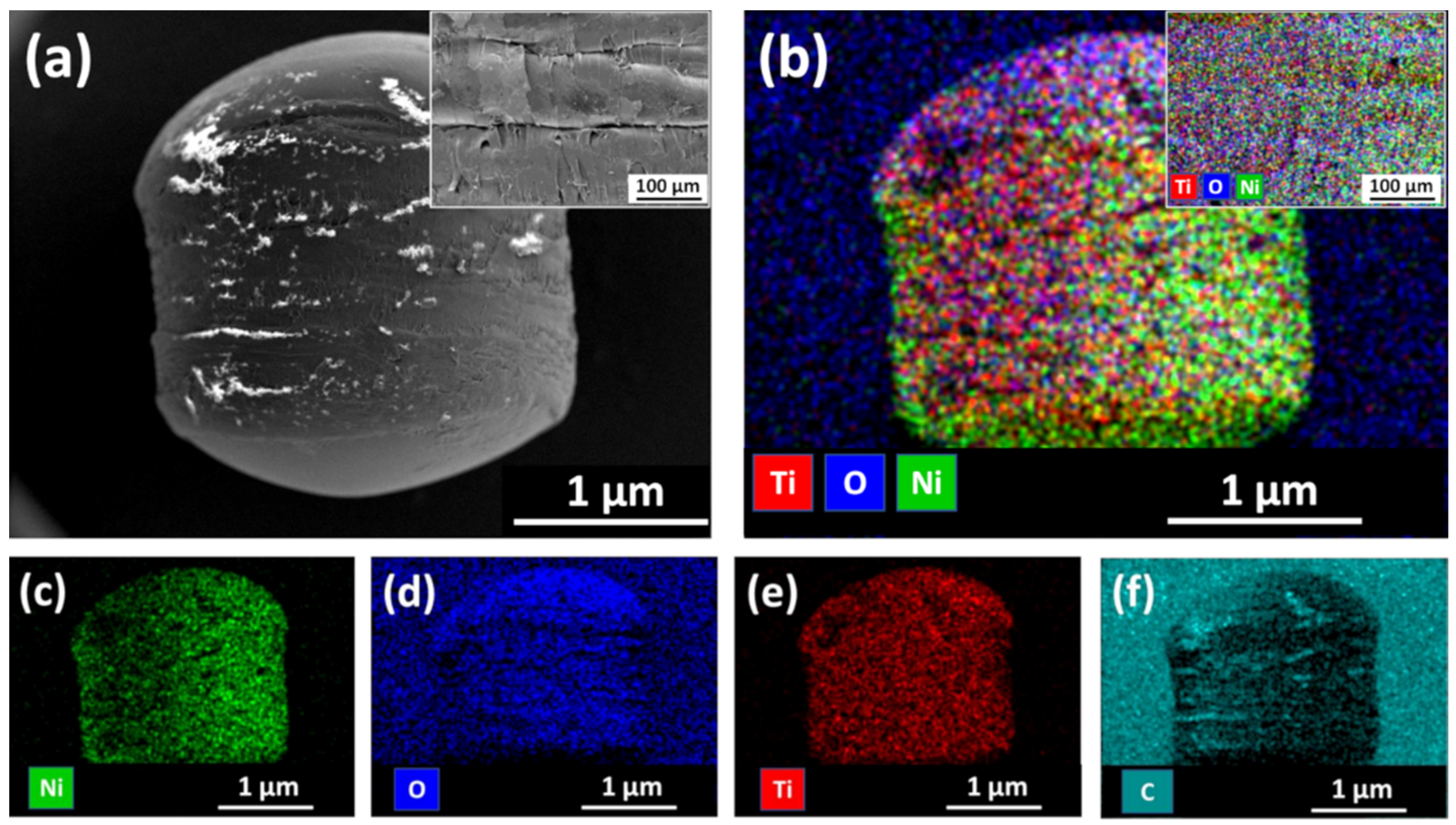 Catalysts 11 01454 g006