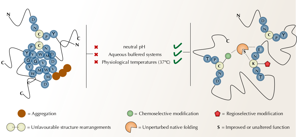 Catalysts 11 01466 g001