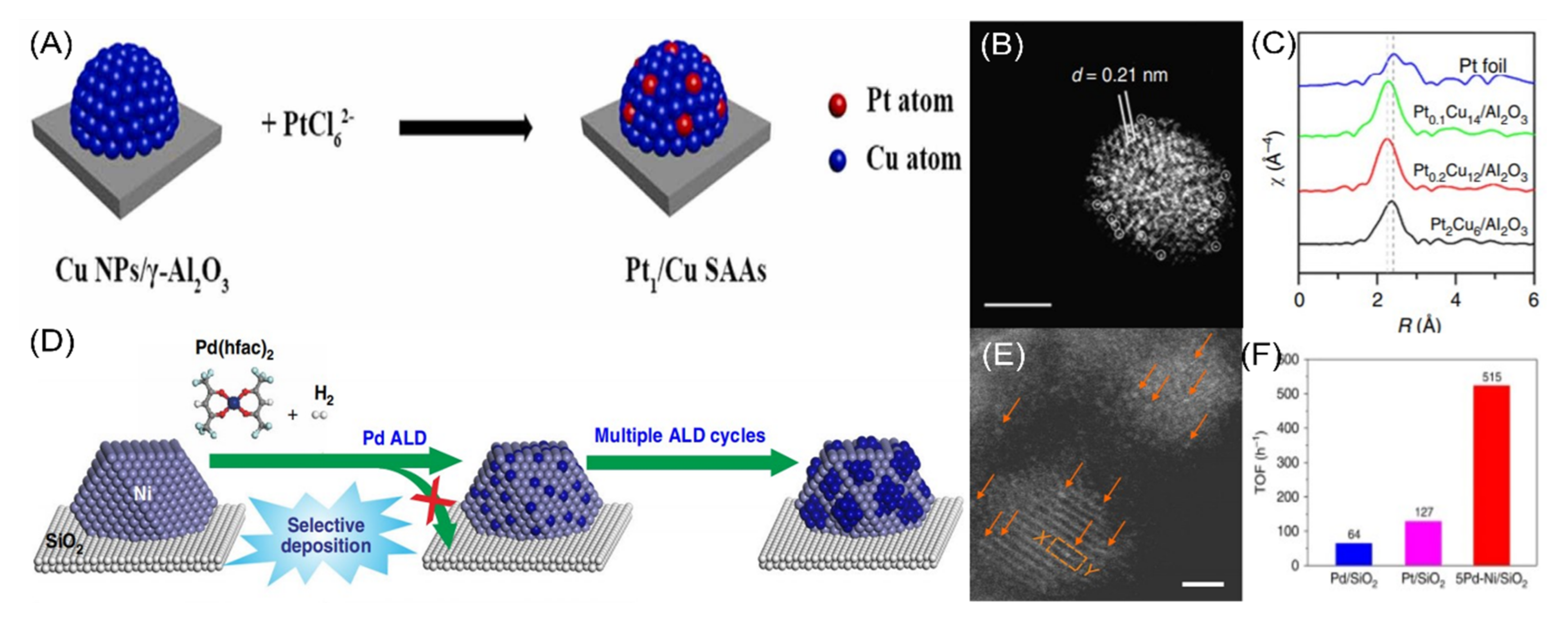Catalysts 11 01470 g006 Catalysts 11 01470 g006