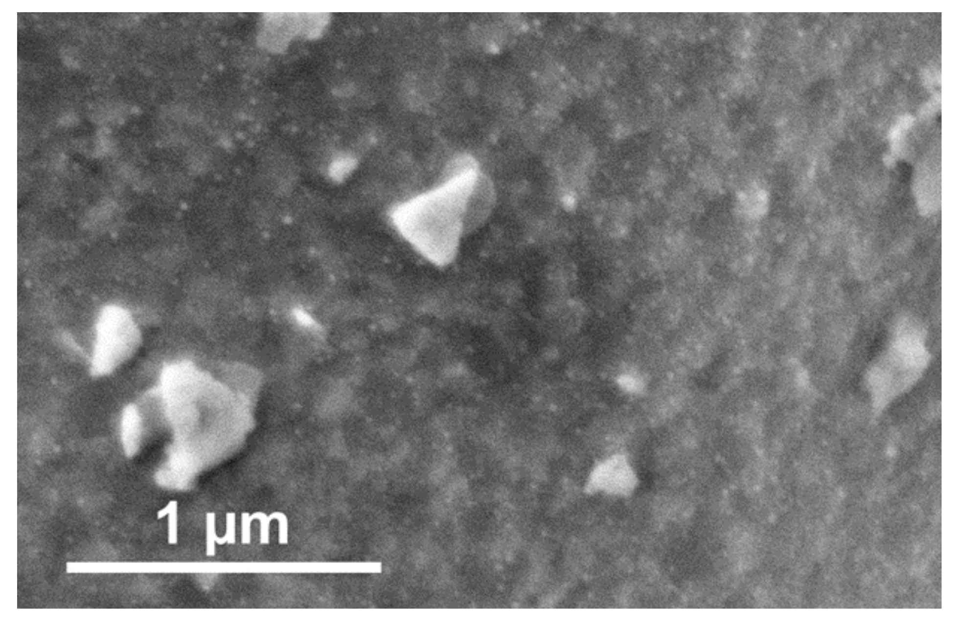 Catalysts 11 01484 g005