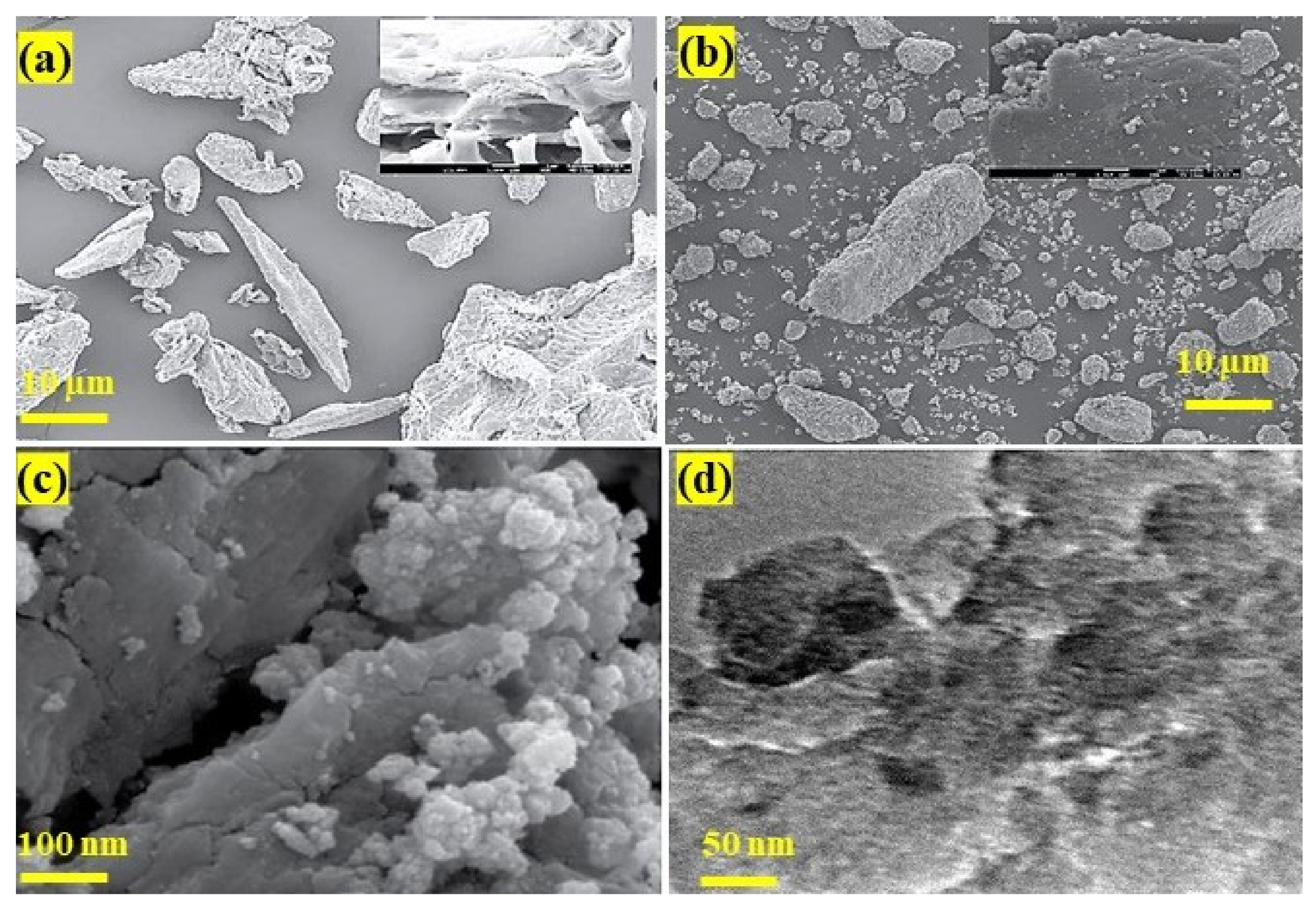 Catalysts 11 01485 g011 Catalysts 11 01485 g011
