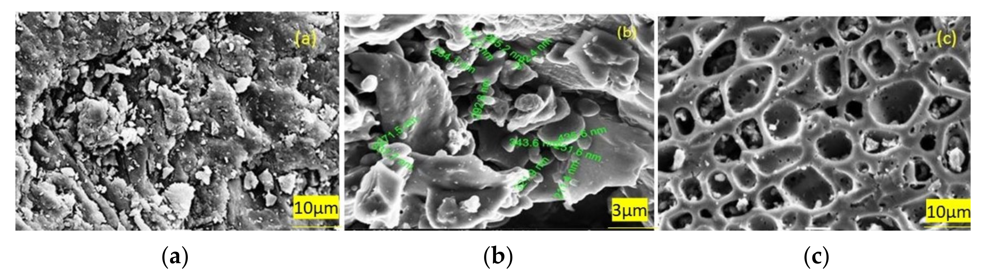 Catalysts 11 01485 g017 Catalysts 11 01485 g017