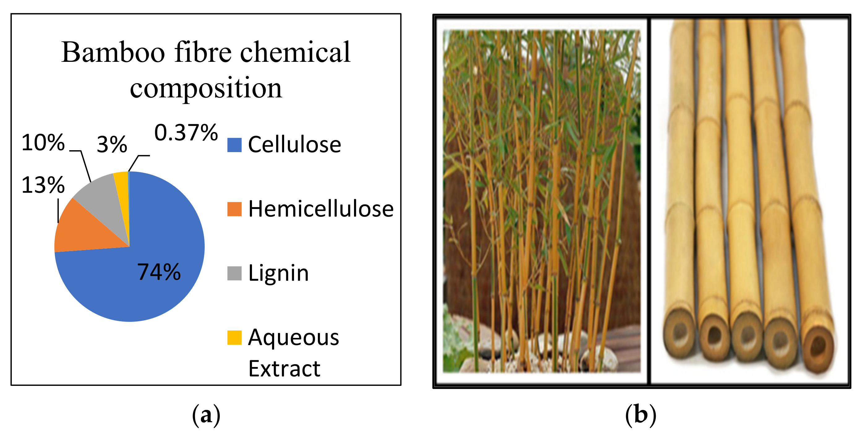 Catalysts 11 01485 g020 Catalysts 11 01485 g020