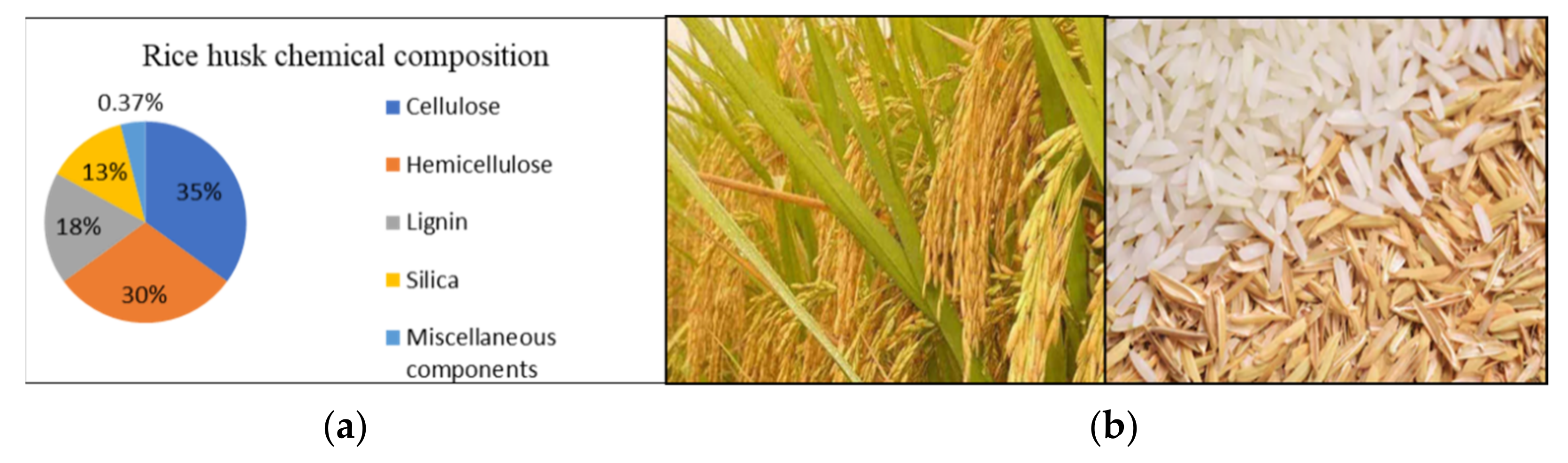 Catalysts 11 01485 g024 Catalysts 11 01485 g024