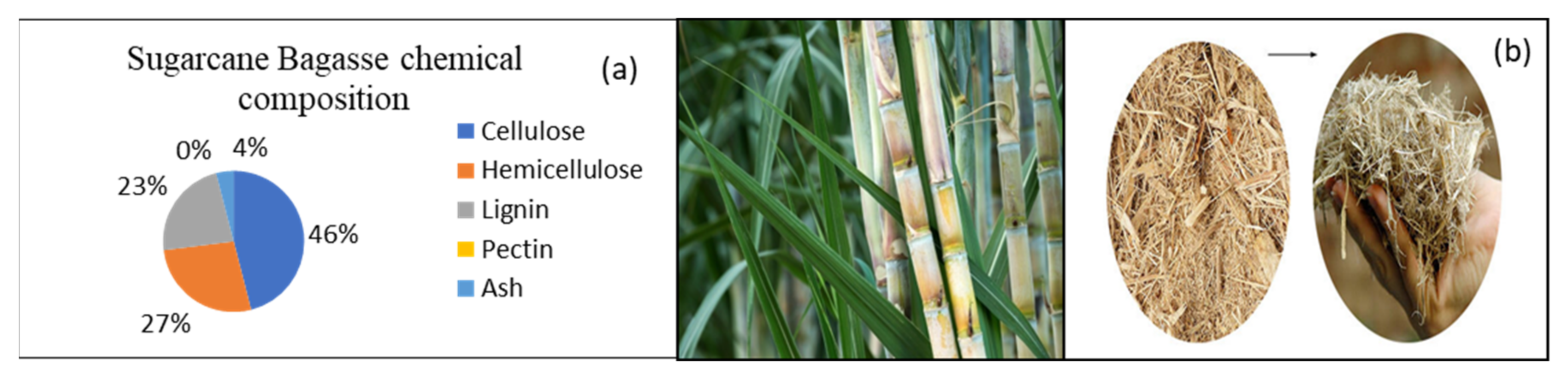 Catalysts 11 01485 g029 Catalysts 11 01485 g029