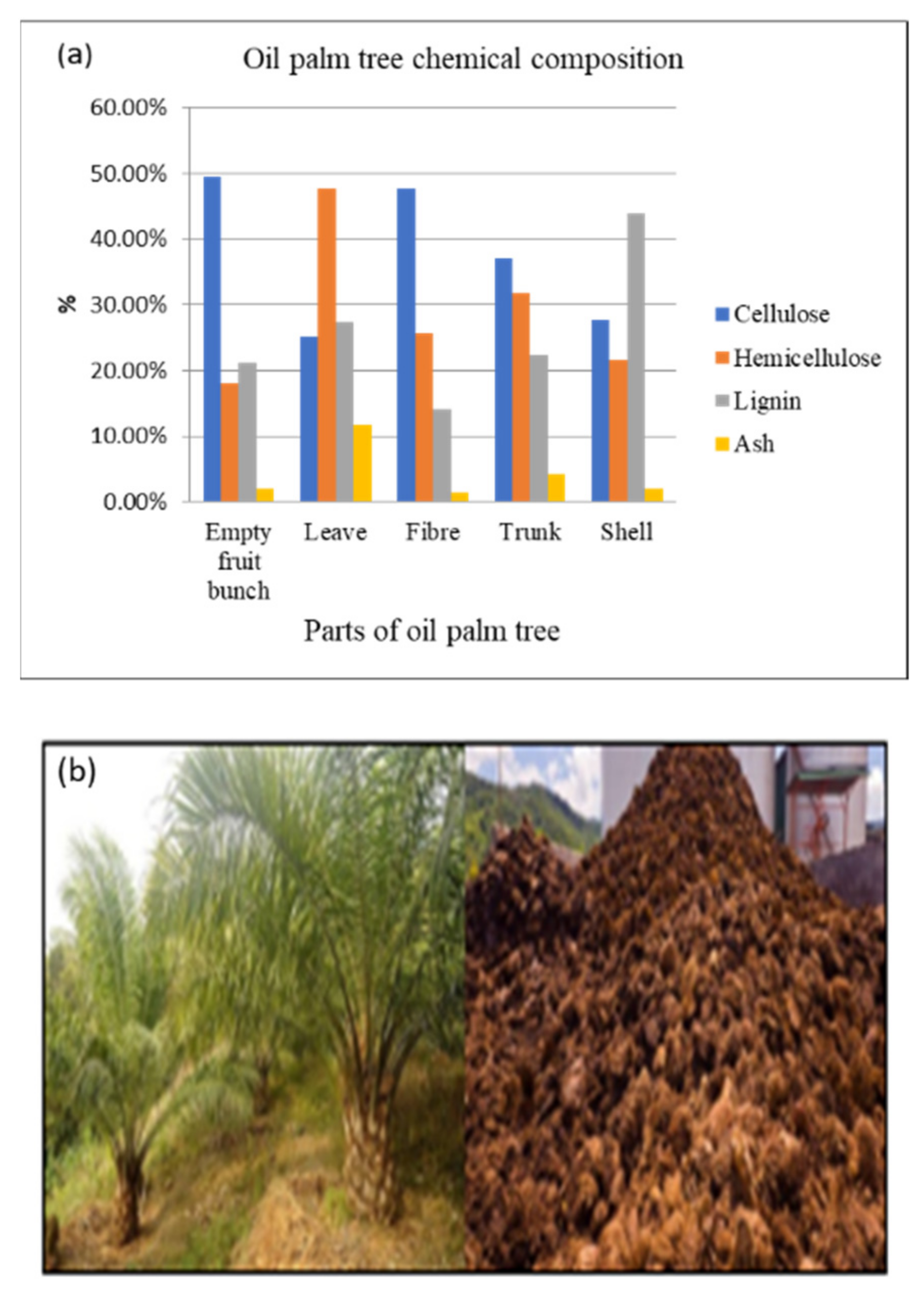 Catalysts 11 01485 g036 Catalysts 11 01485 g036