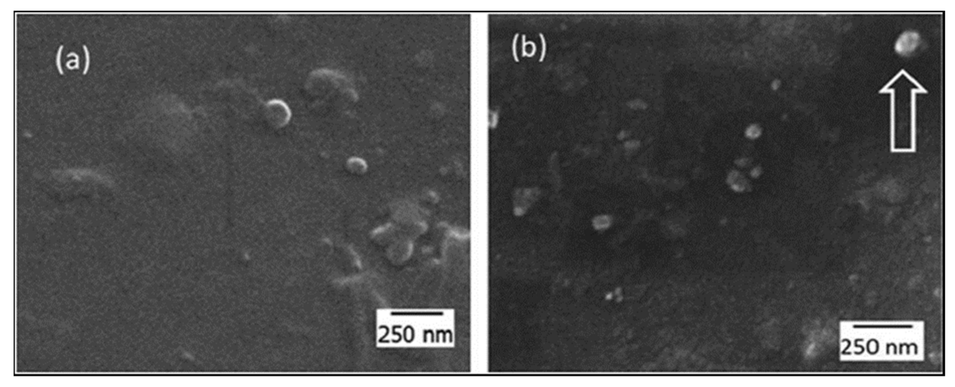 Catalysts 11 01485 g040 Catalysts 11 01485 g040