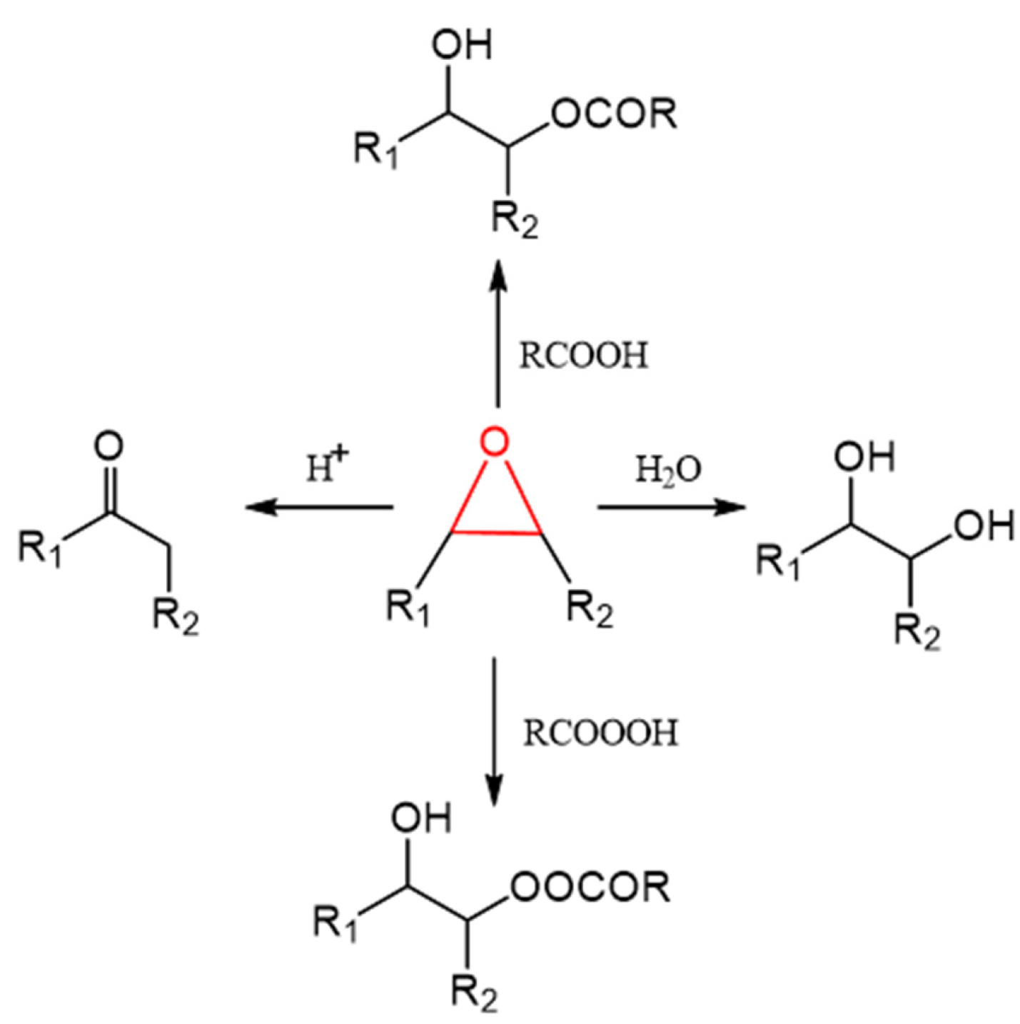 Catalysts 11 01490 g002 550