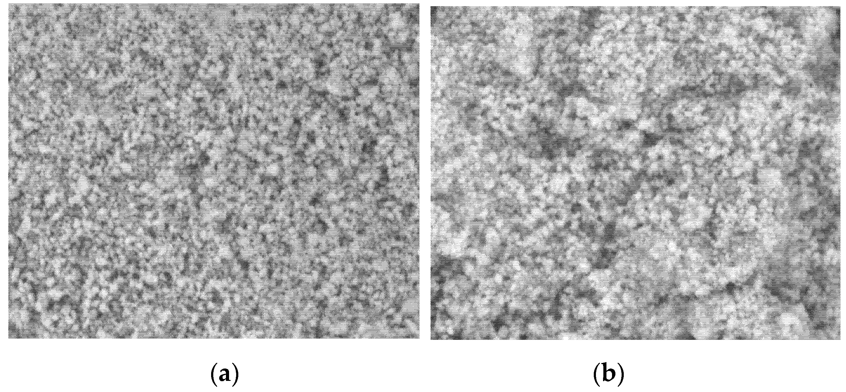 Catalysts 11 01492 g004