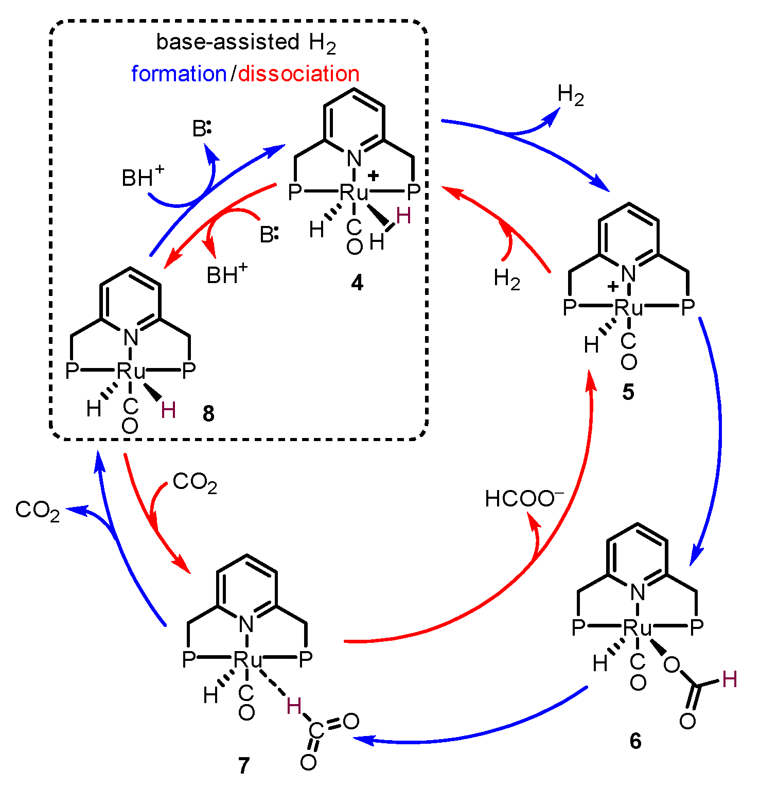 Catalysts 11 01497 sch001