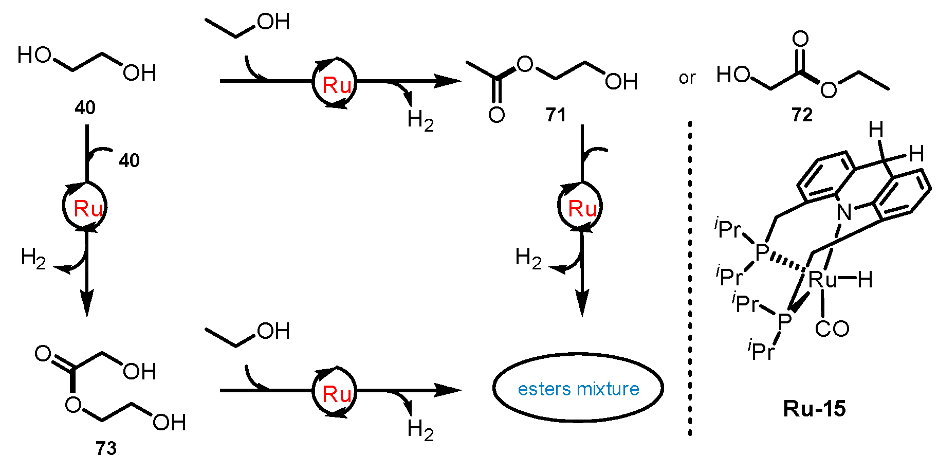 Catalysts 11 01497 sch017