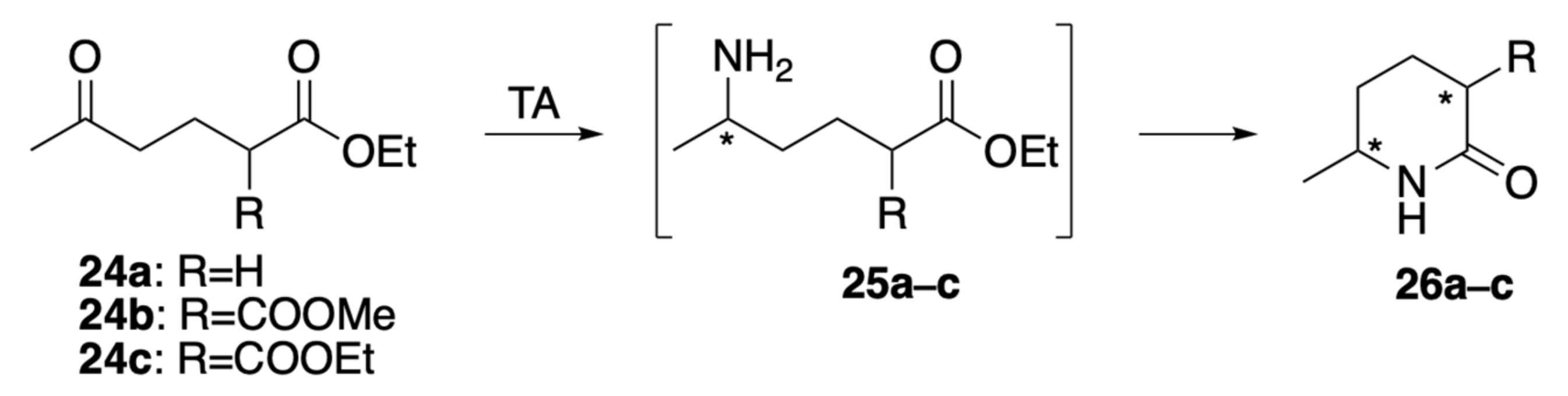 Catalysts 11 01501 g005 550