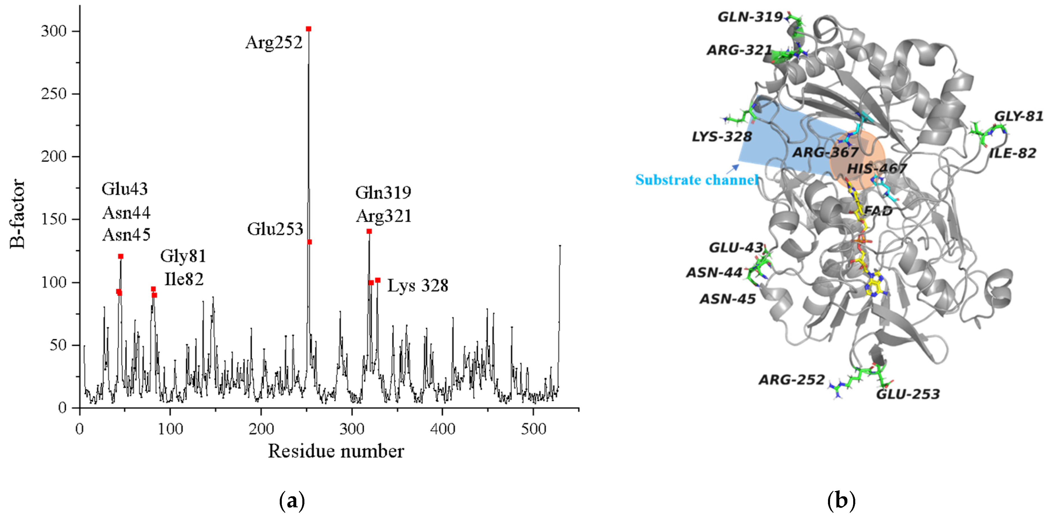 Catalysts 11 01503 g001