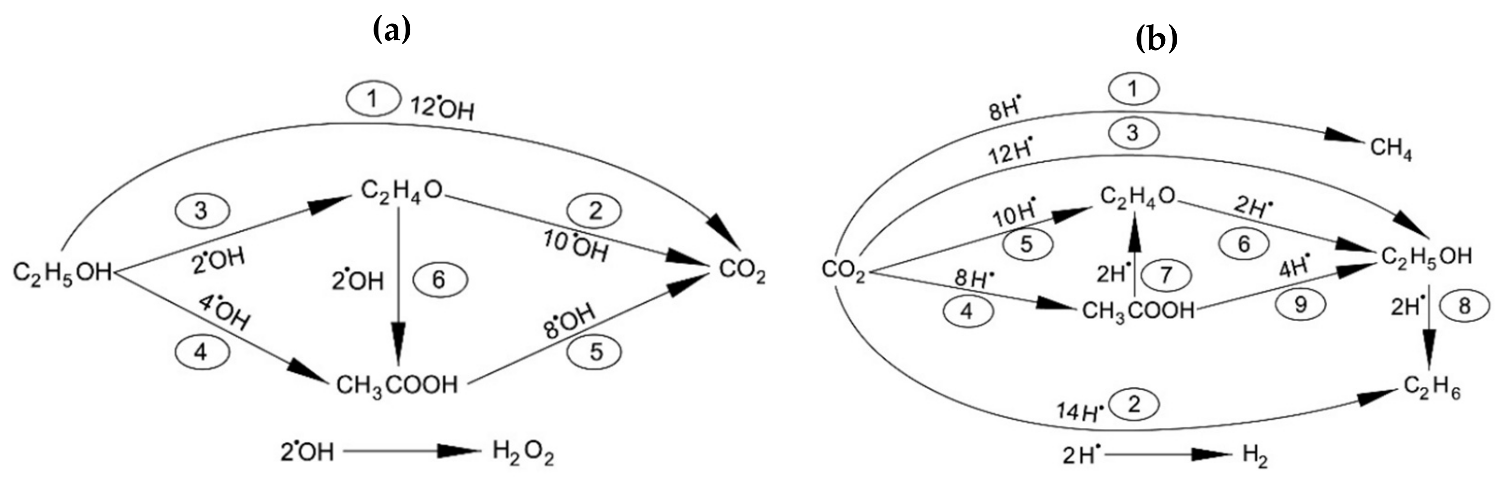 Catalysts 11 01505 g011 Catalysts 11 01505 g011
