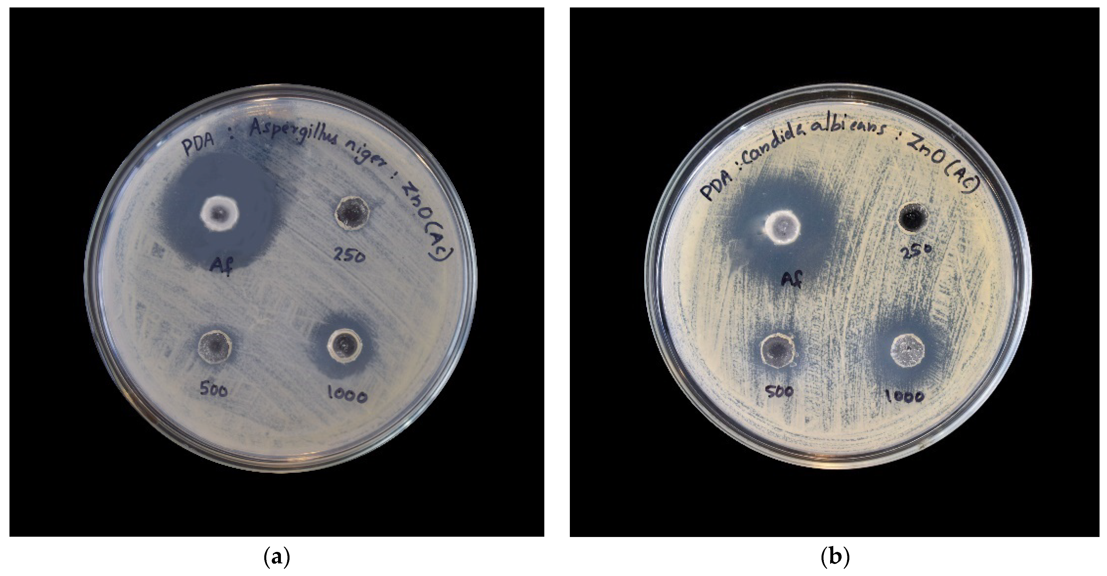 Catalysts 11 01507 g011 550