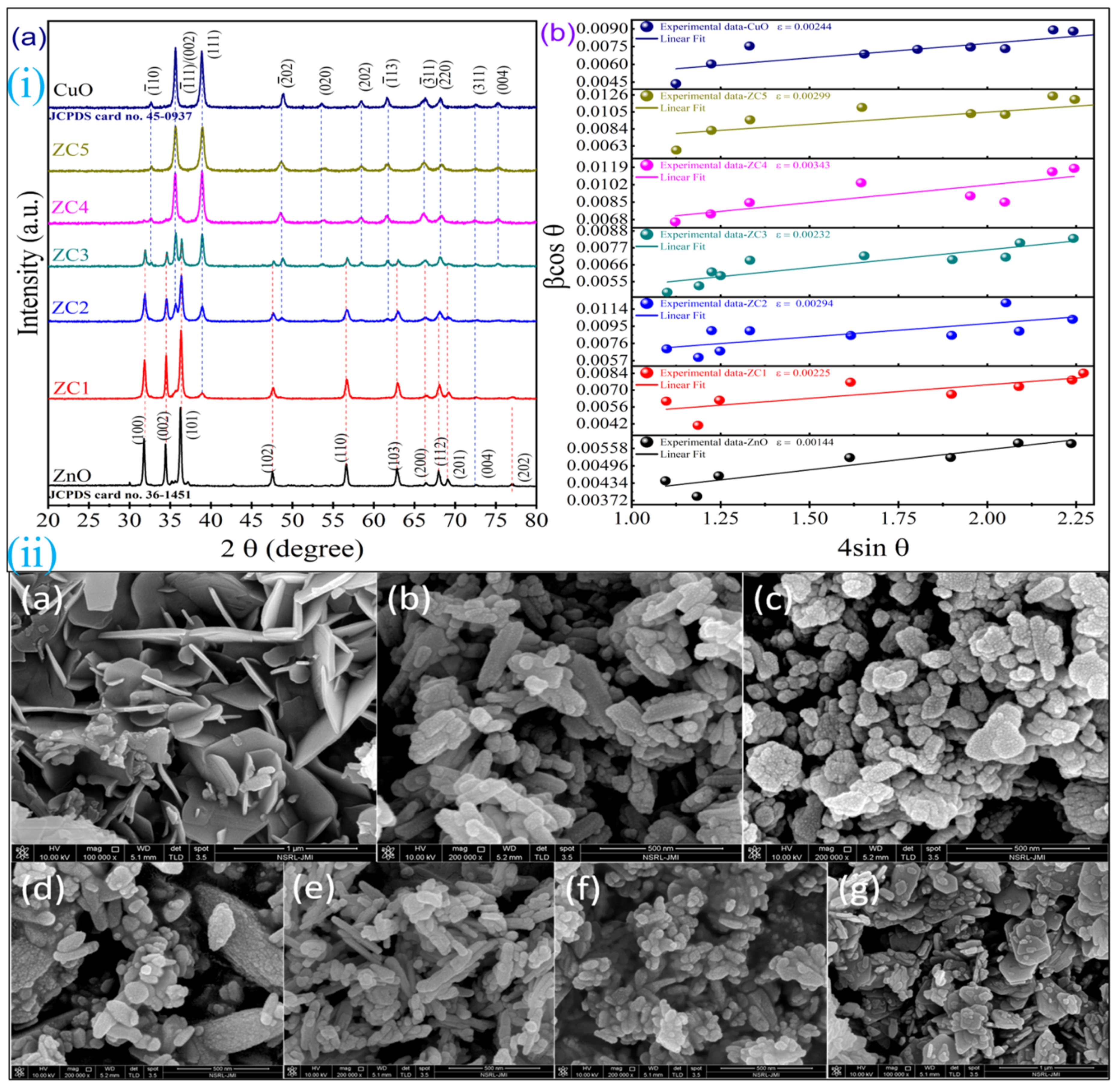 Catalysts 11 01509 g001 550