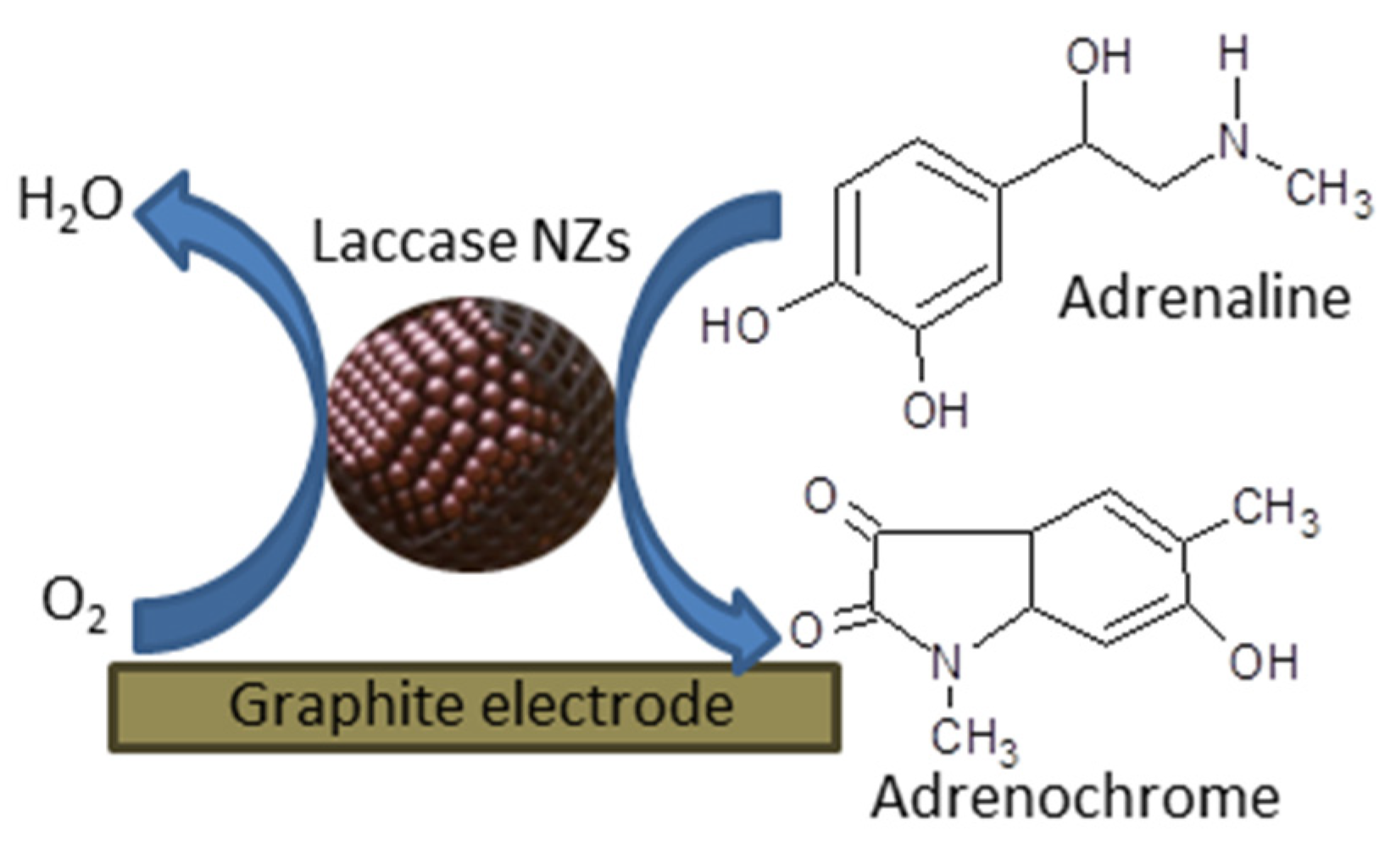 Catalysts 11 01510 g002