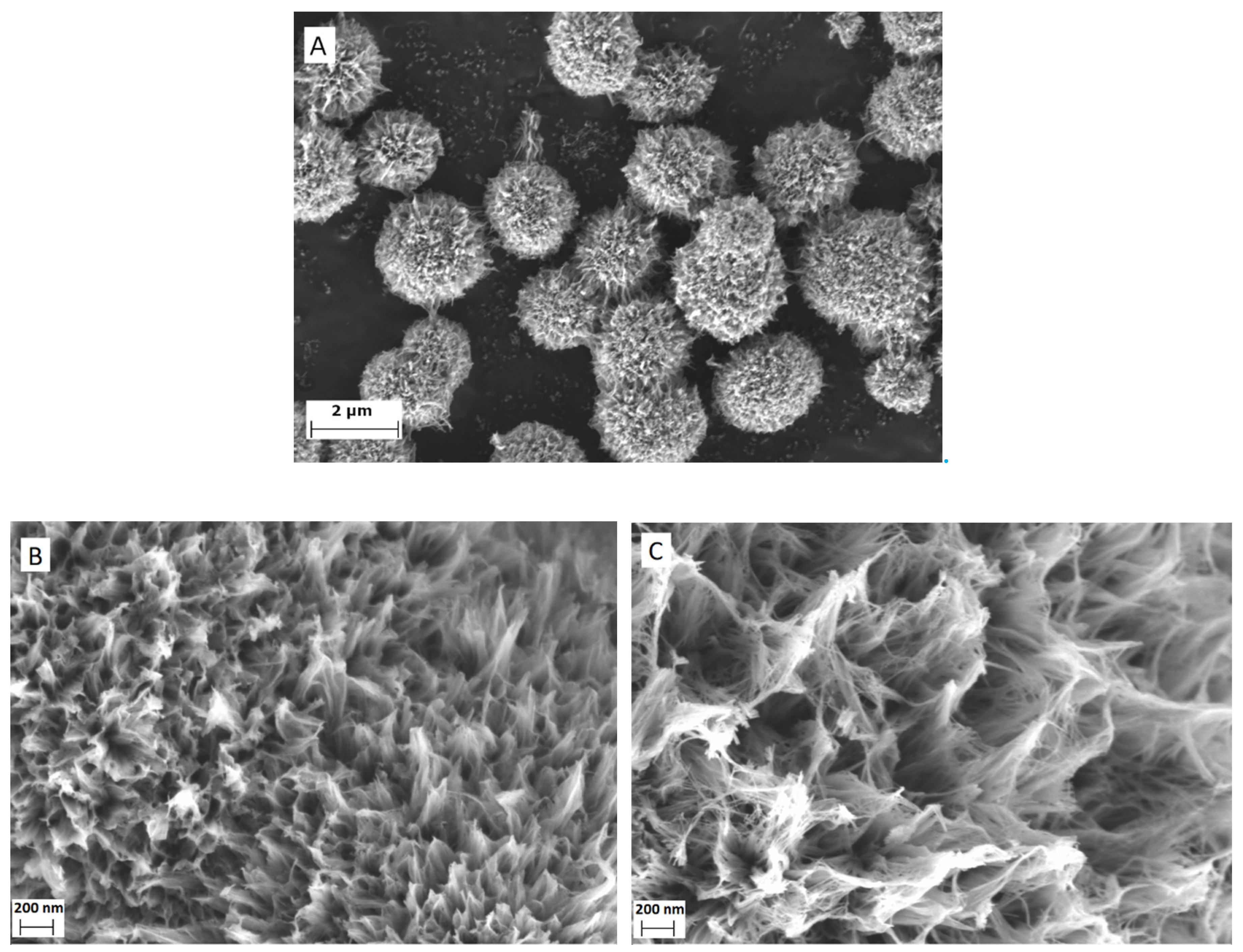 Catalysts 11 01512 g002a 550