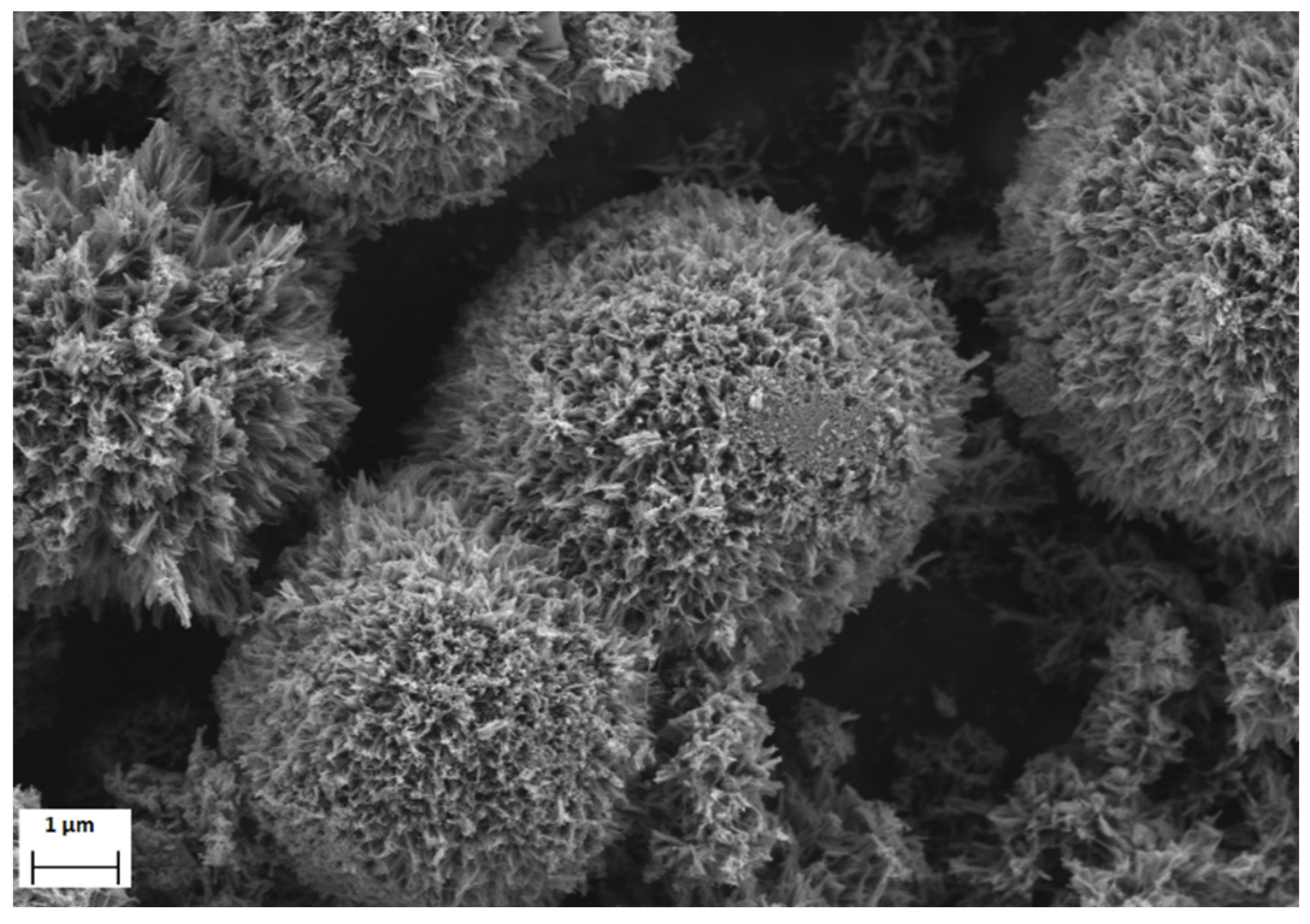 Catalysts 11 01512 g008 550